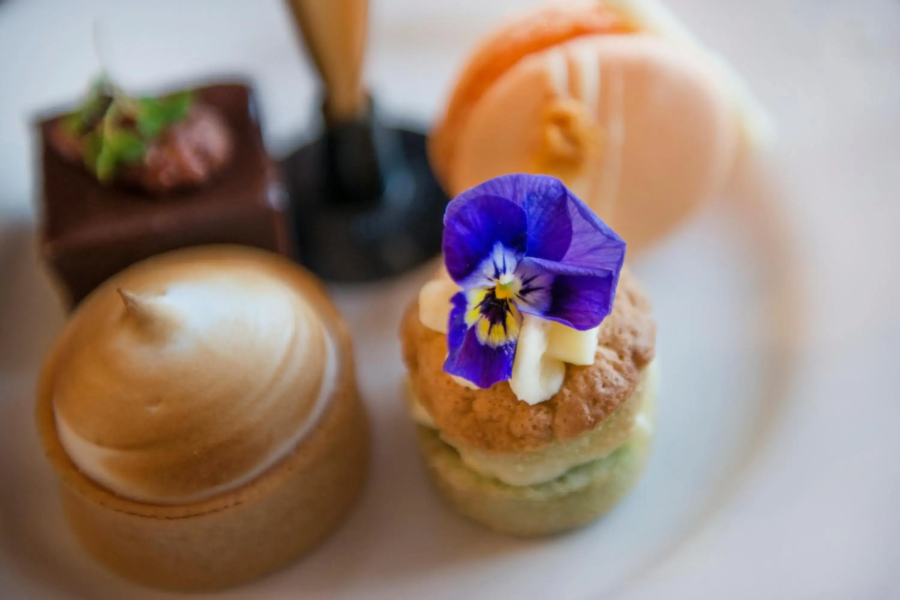 Food close-up in Kimpton Blythswood Square Hotel & Spa by IHG Food close-up in Kimpton Blythswood Square Hotel & Spa by IHG