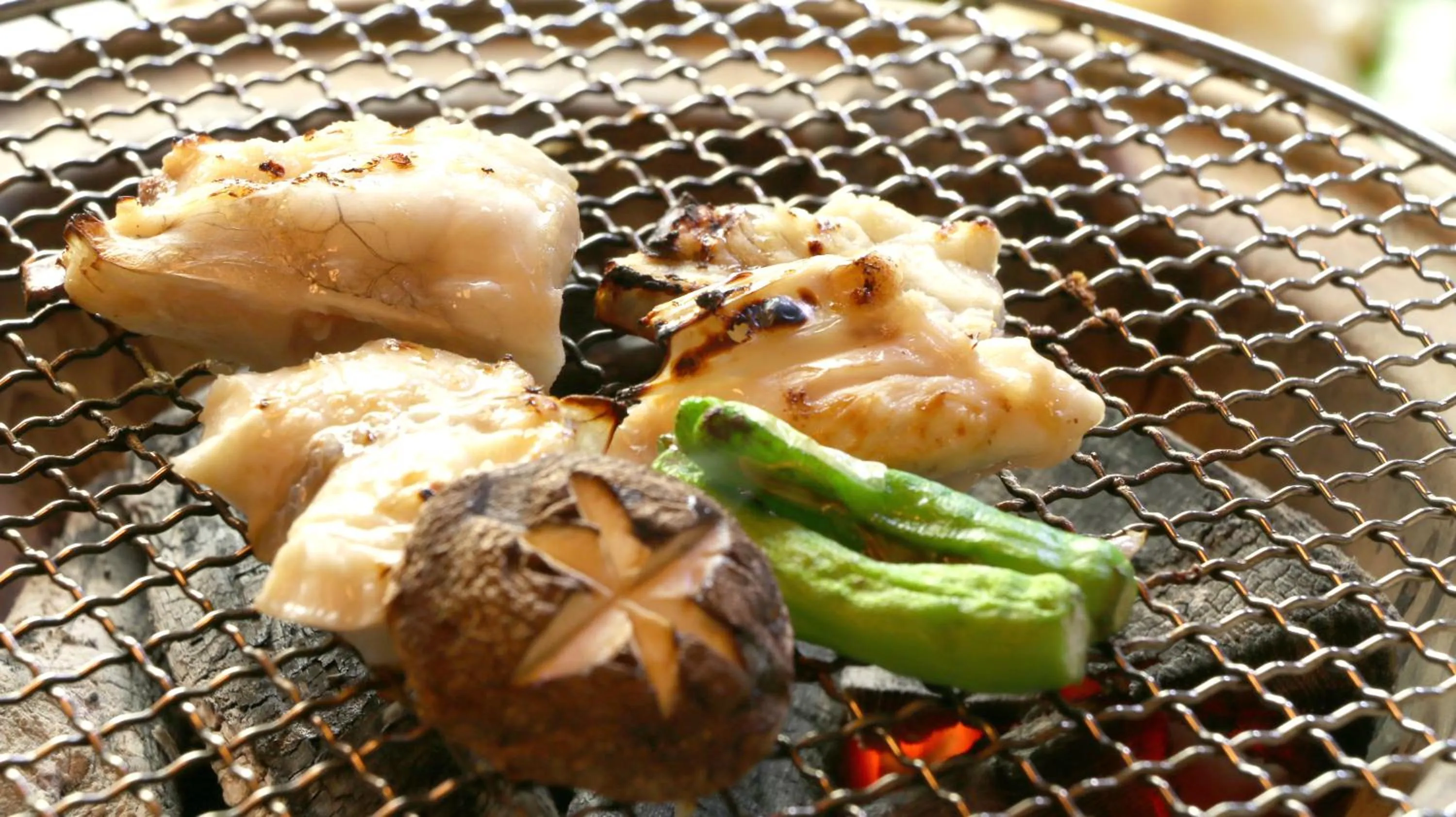Food close-up in Shunkouen
