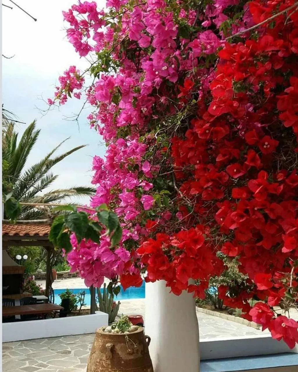 Spring in Villa Pari Manda