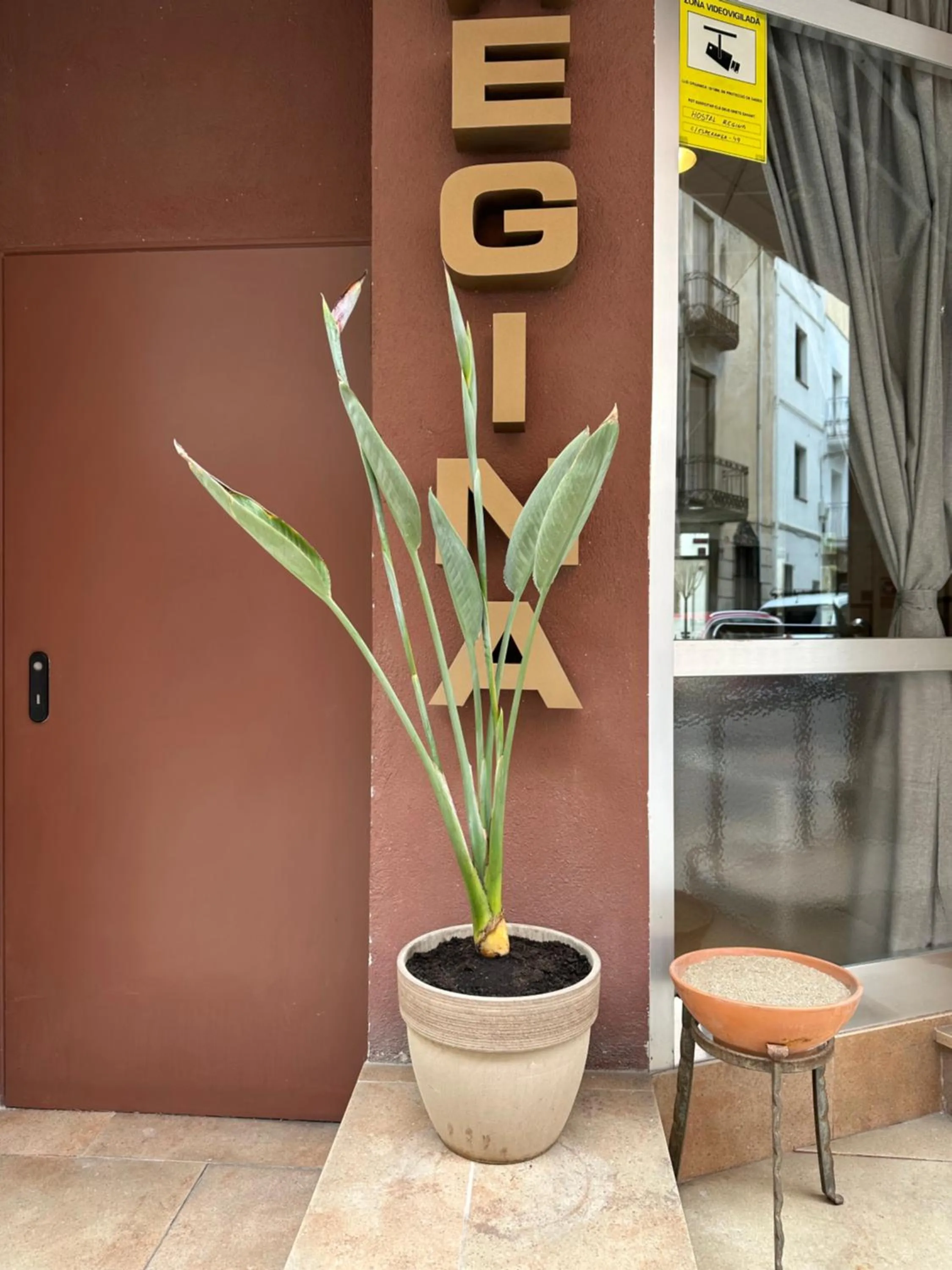 Facade/entrance in Hostal Regina