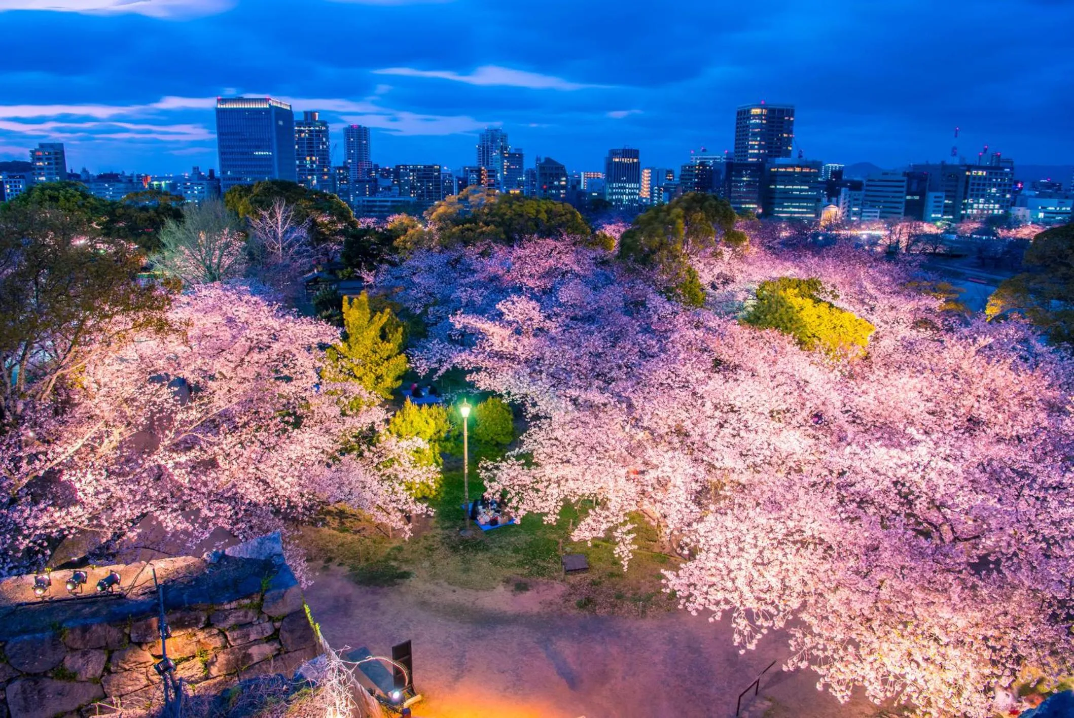 Nearby landmark in WeBase Hakata Hostel