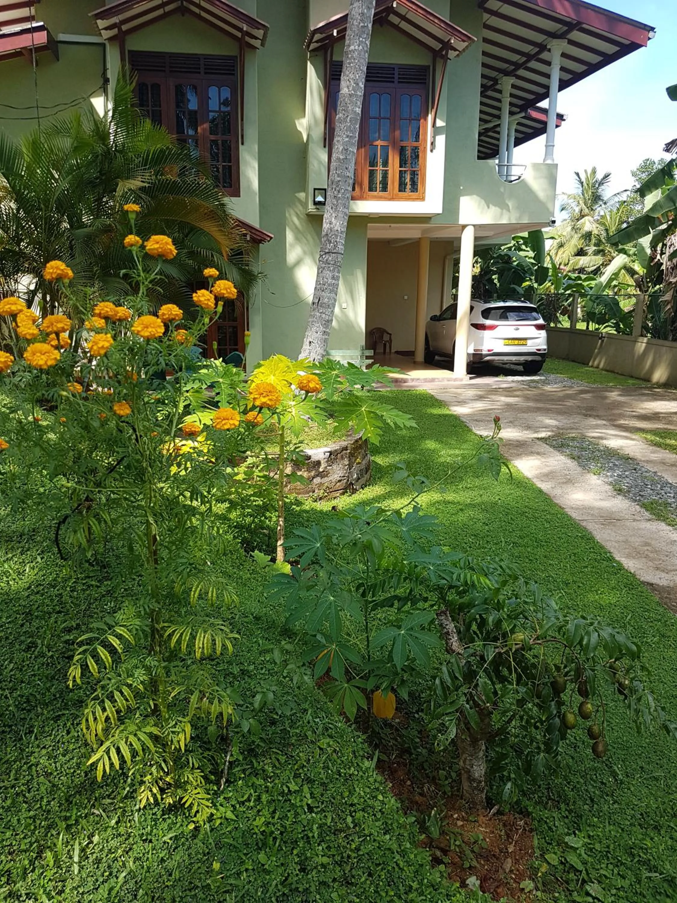 Arana Bungalow