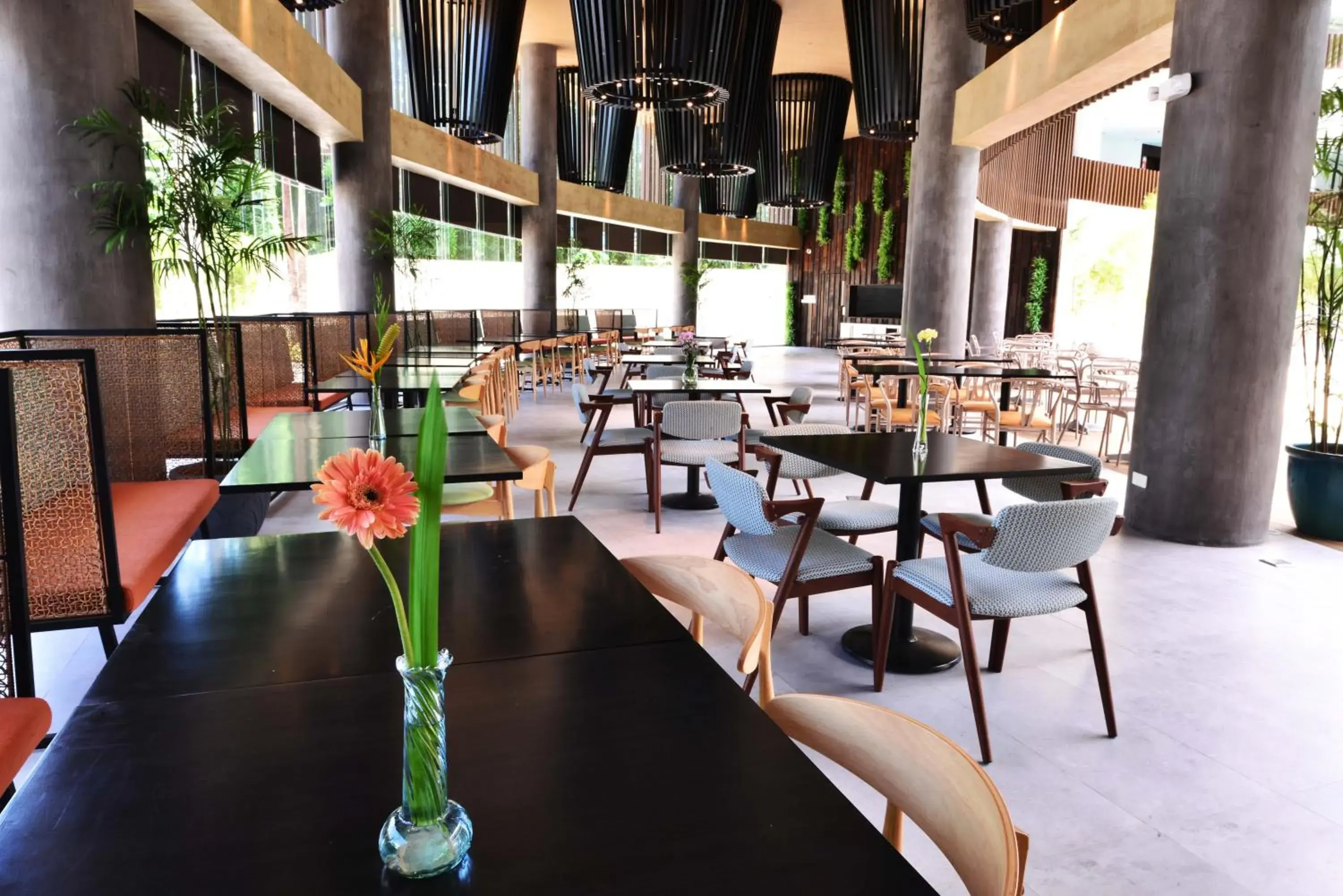 Restaurant/places to eat in Hue Hotels and Resorts Boracay Managed by HII Restaurant/places to eat in Hue Hotels and Resorts Boracay Managed by HII