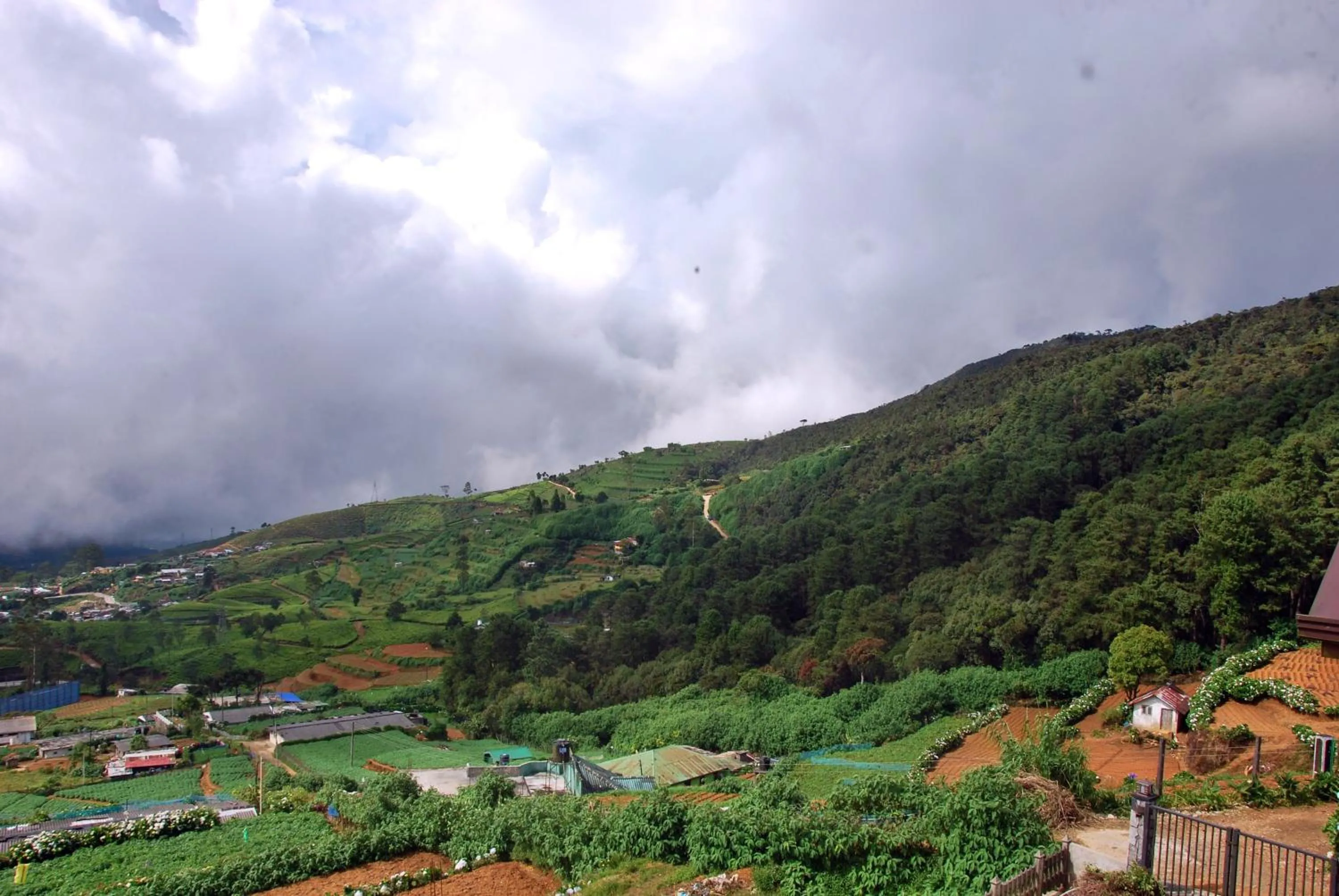 Mountain view in Cottage San Francesco