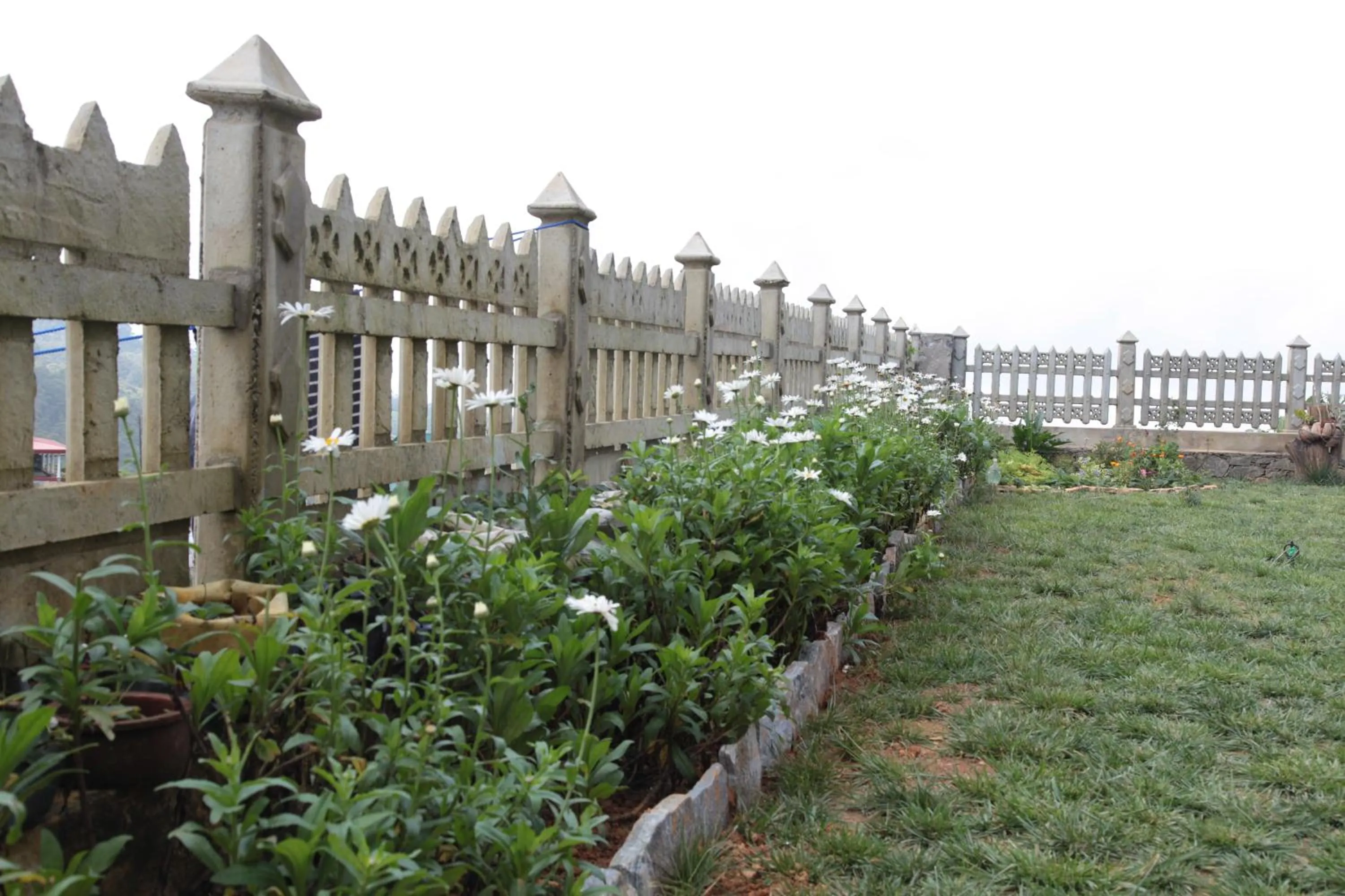 Garden in Cottage San Francesco