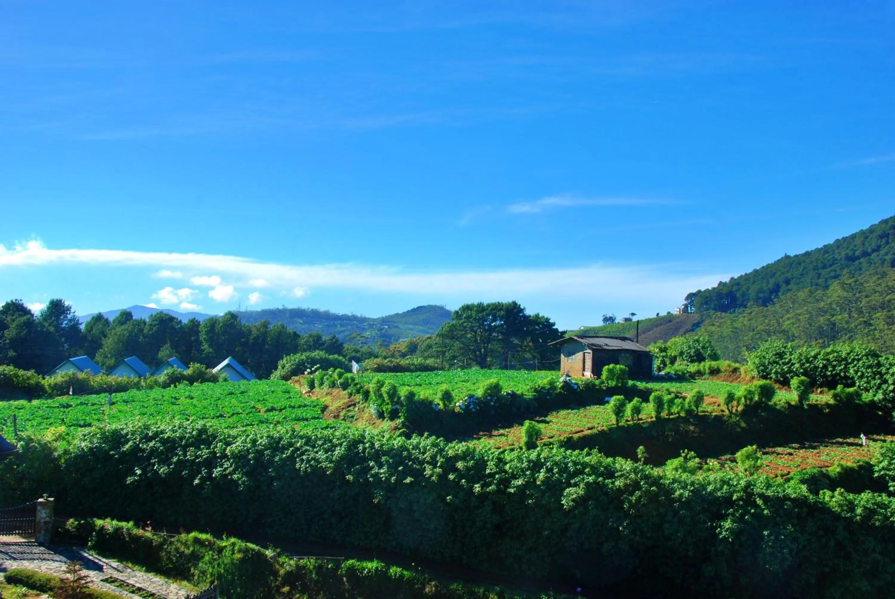 Natural landscape in Cottage San Francesco