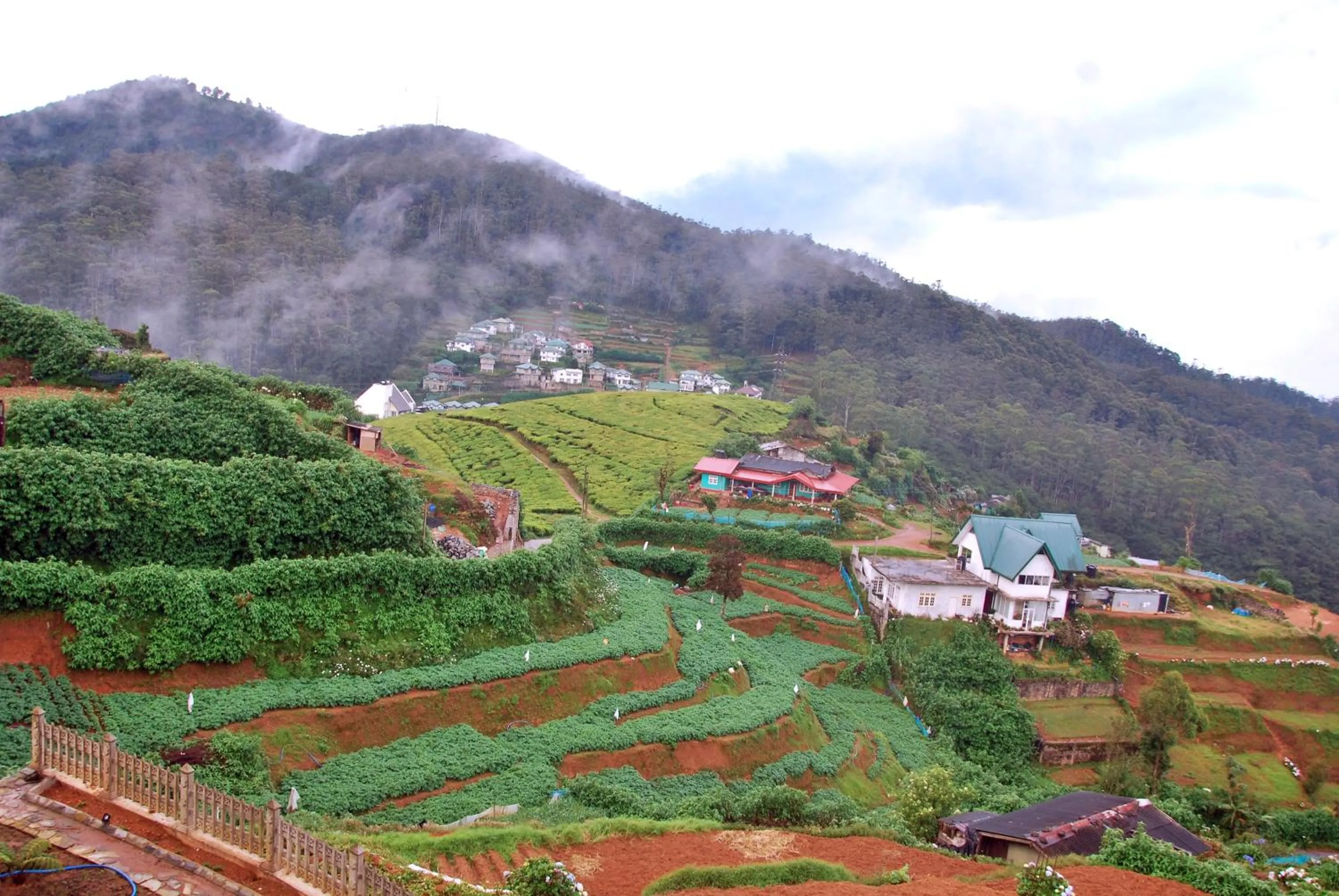 Natural landscape in Cottage San Francesco