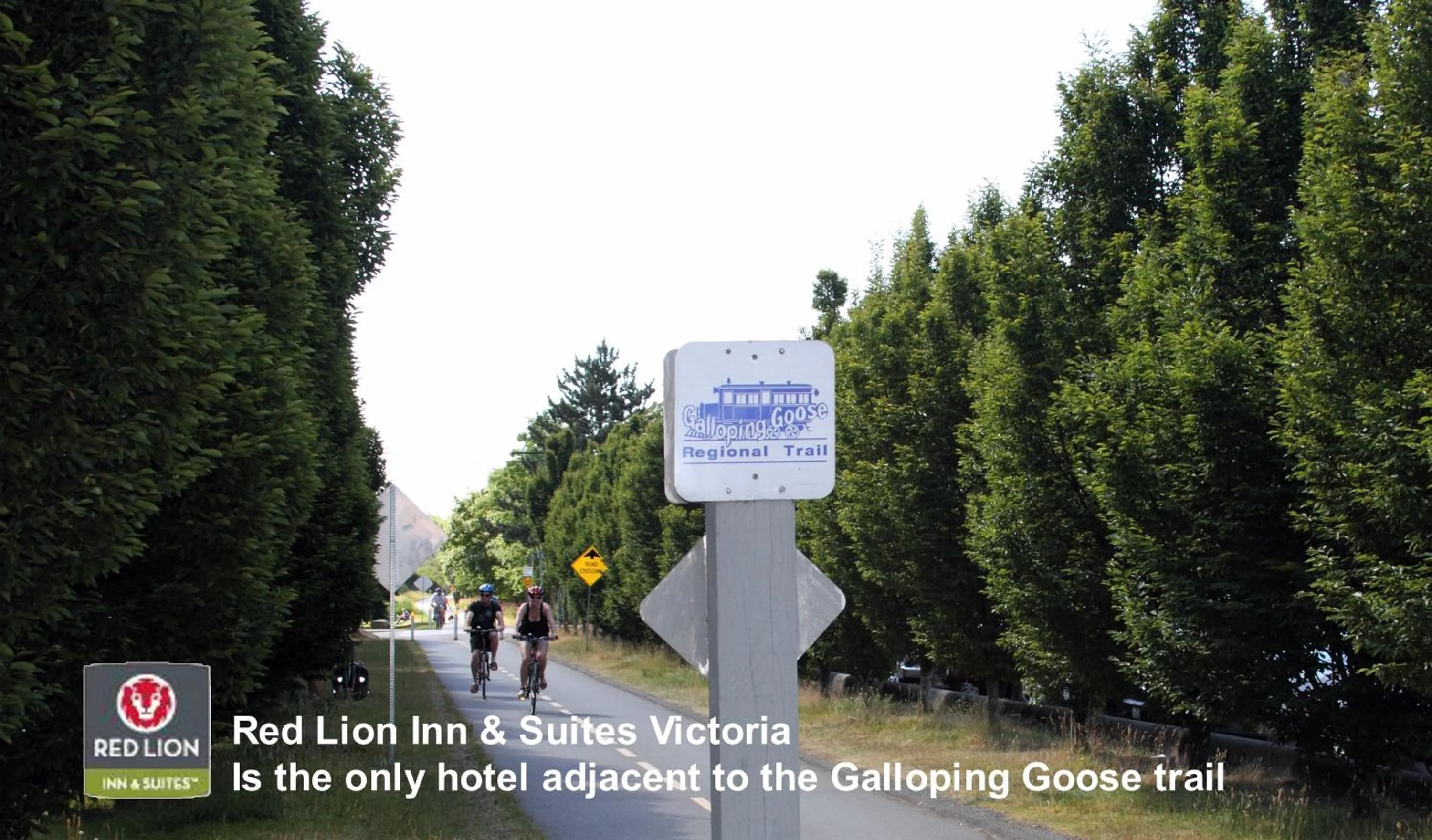 Area and facilities in Red Lion Inn and Suites Victoria