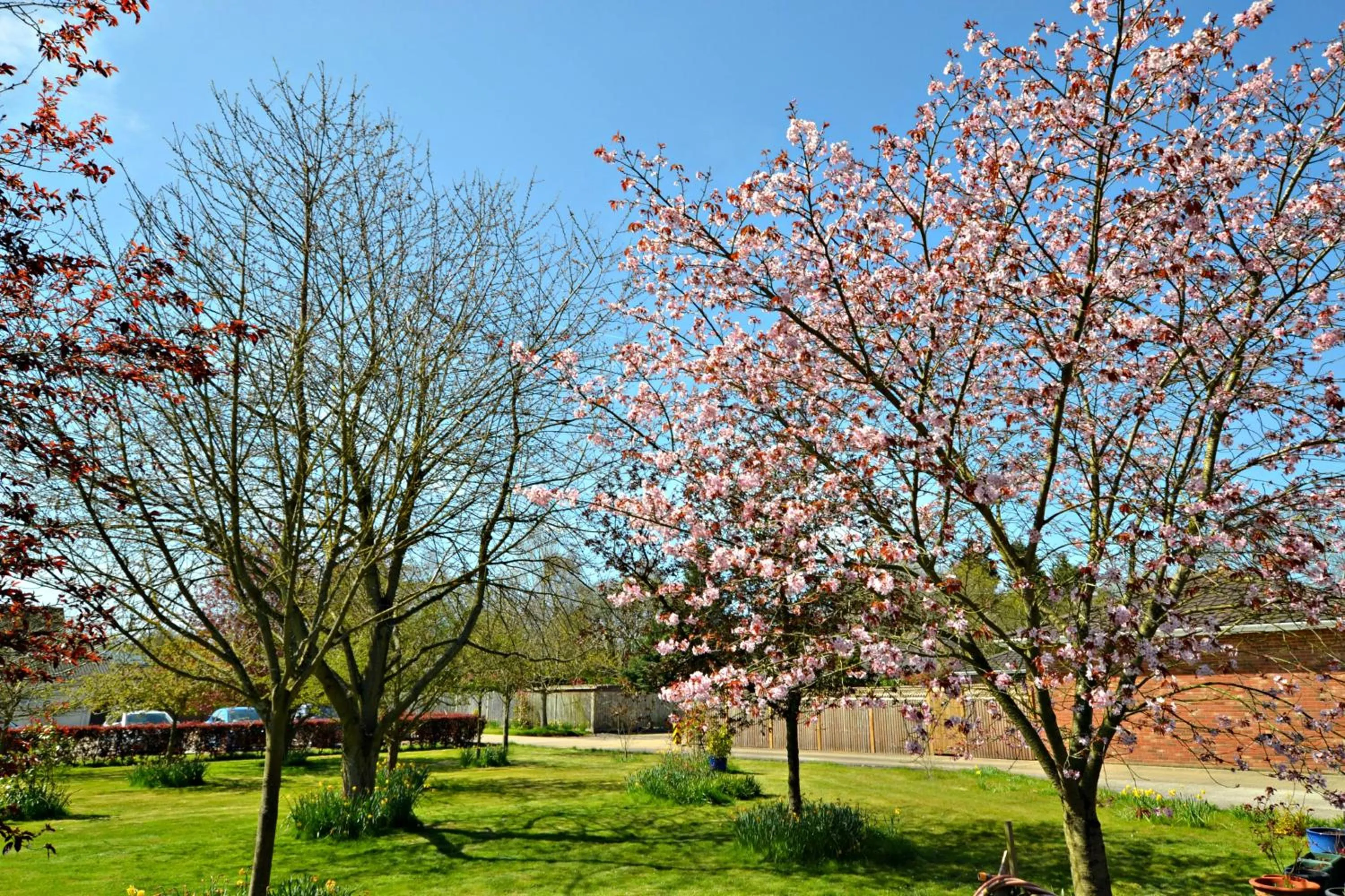 Garden in Little Bullocks Farm