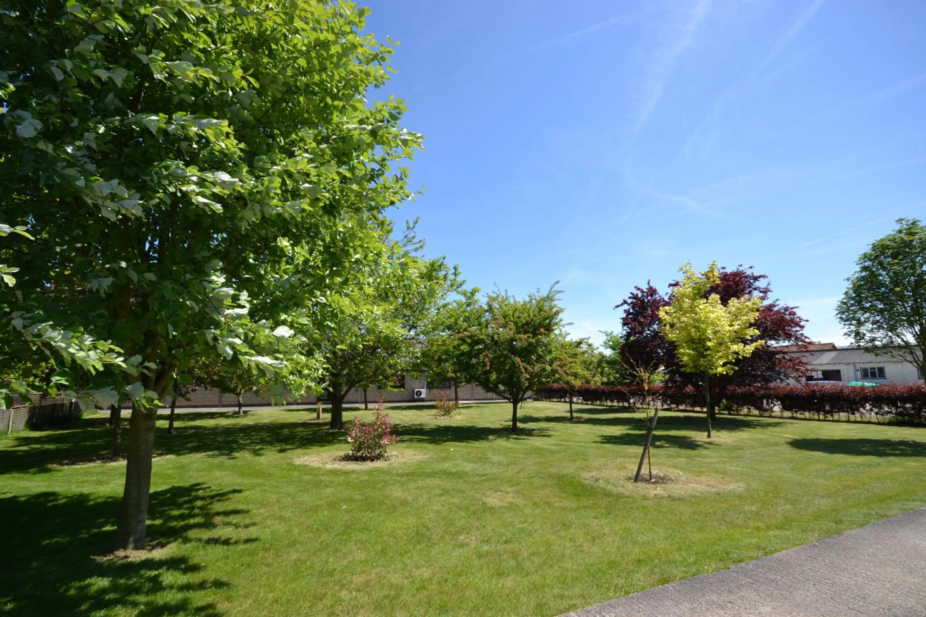 Area and facilities in Little Bullocks Farm