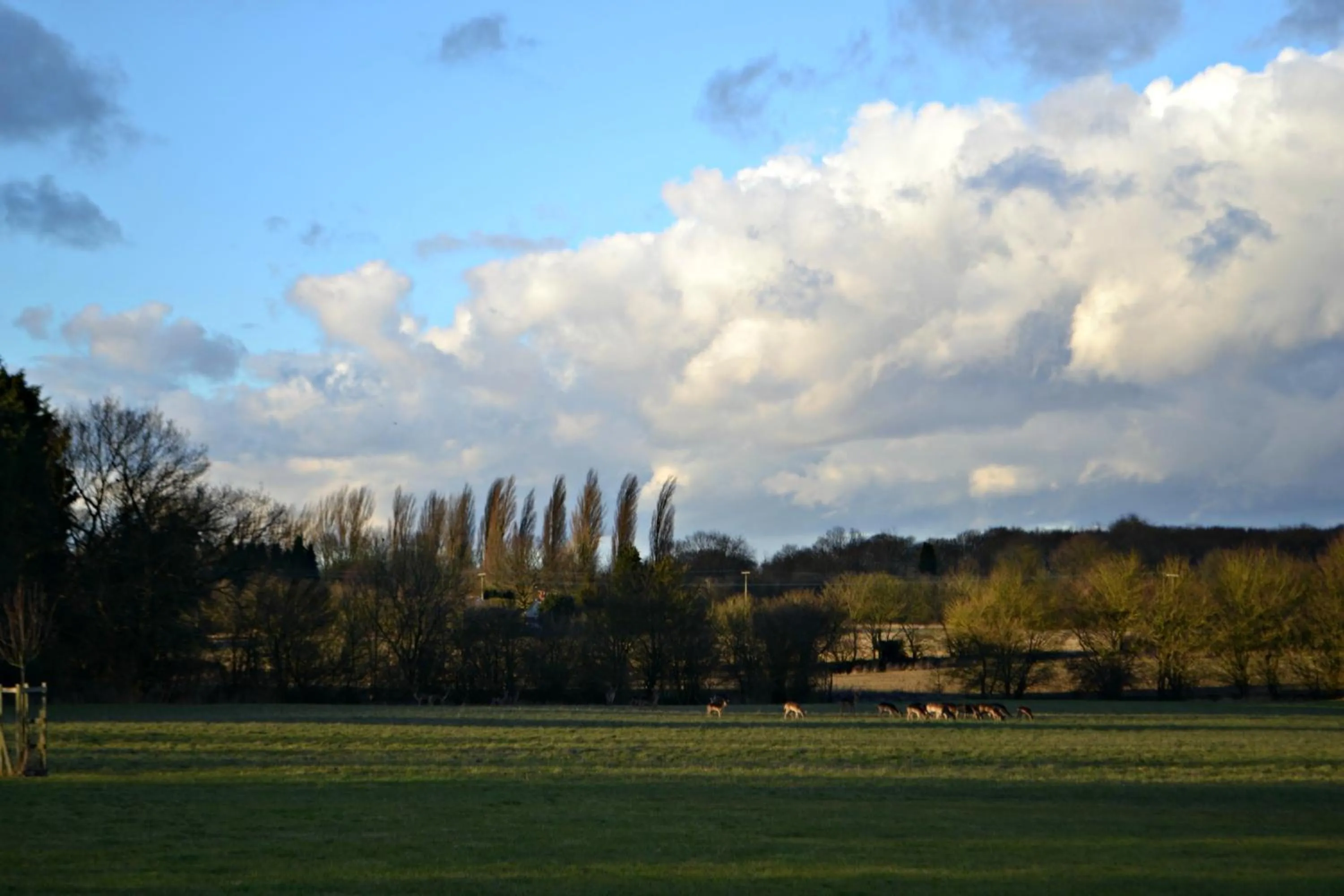 Garden in Little Bullocks Farm