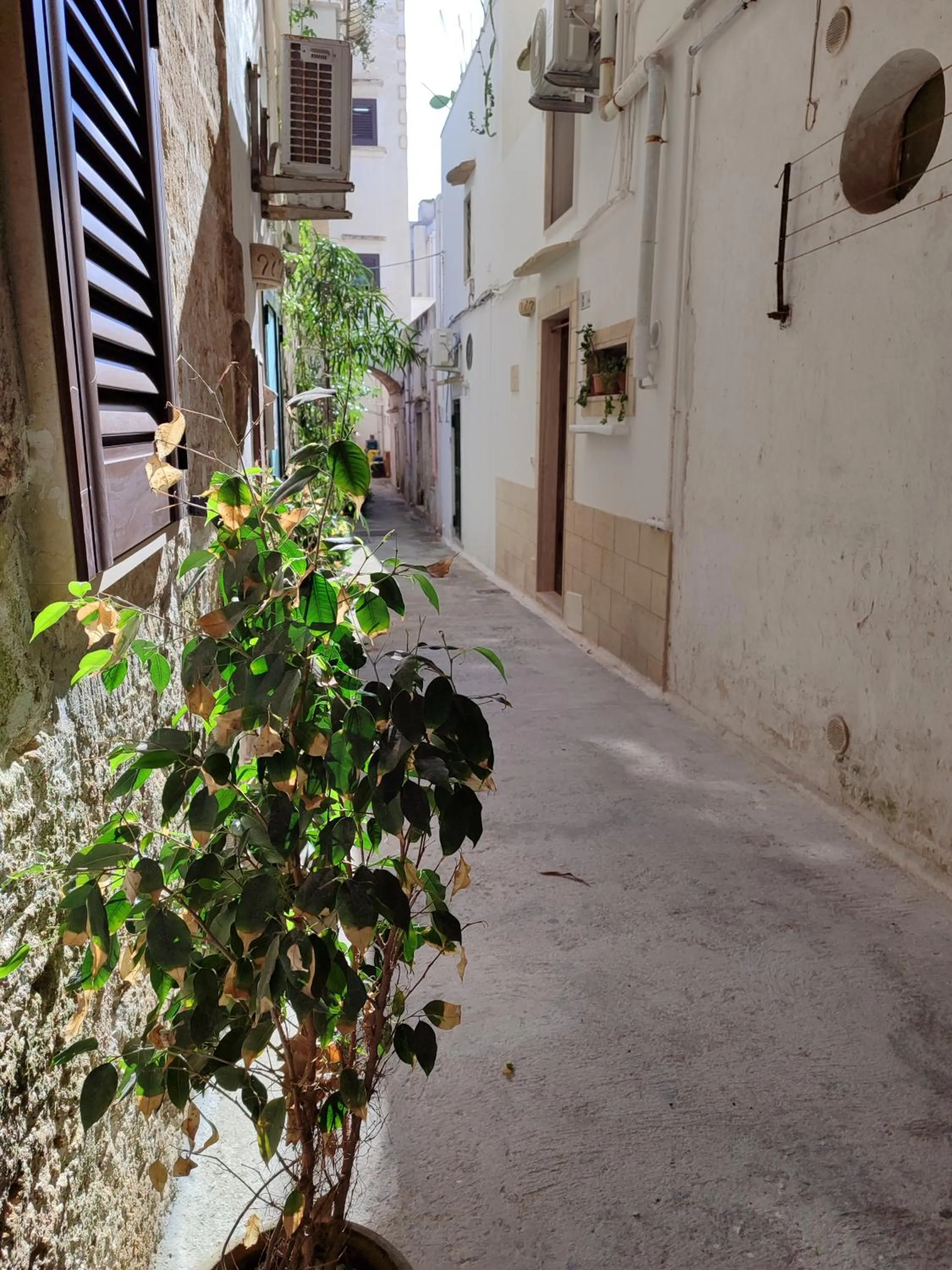 Inner courtyard view in B&B Punta Cutieri