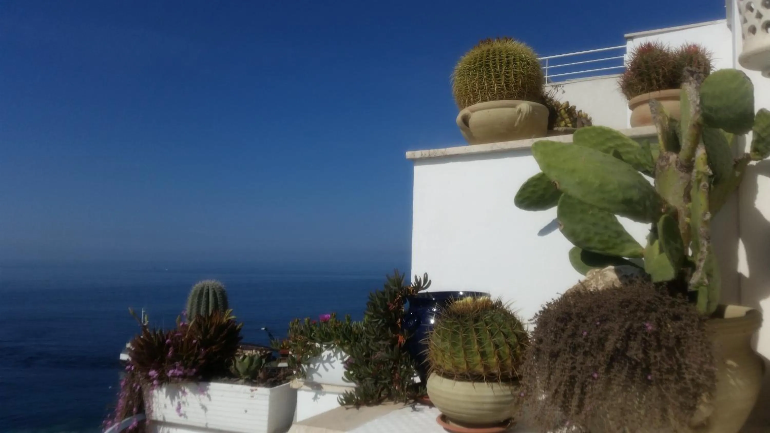 Natural landscape in B&B Punta Cutieri