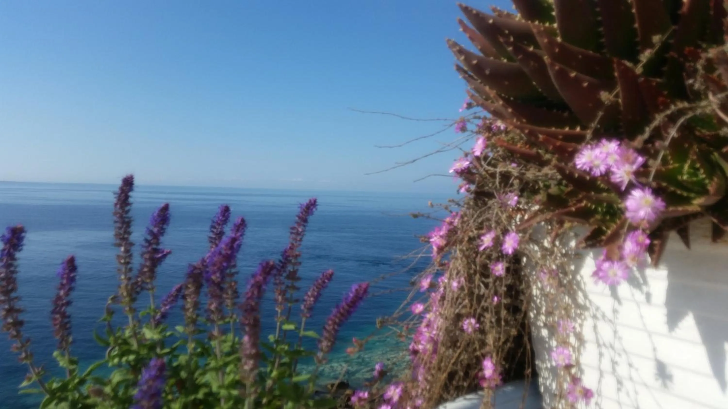 Natural landscape in B&B Punta Cutieri