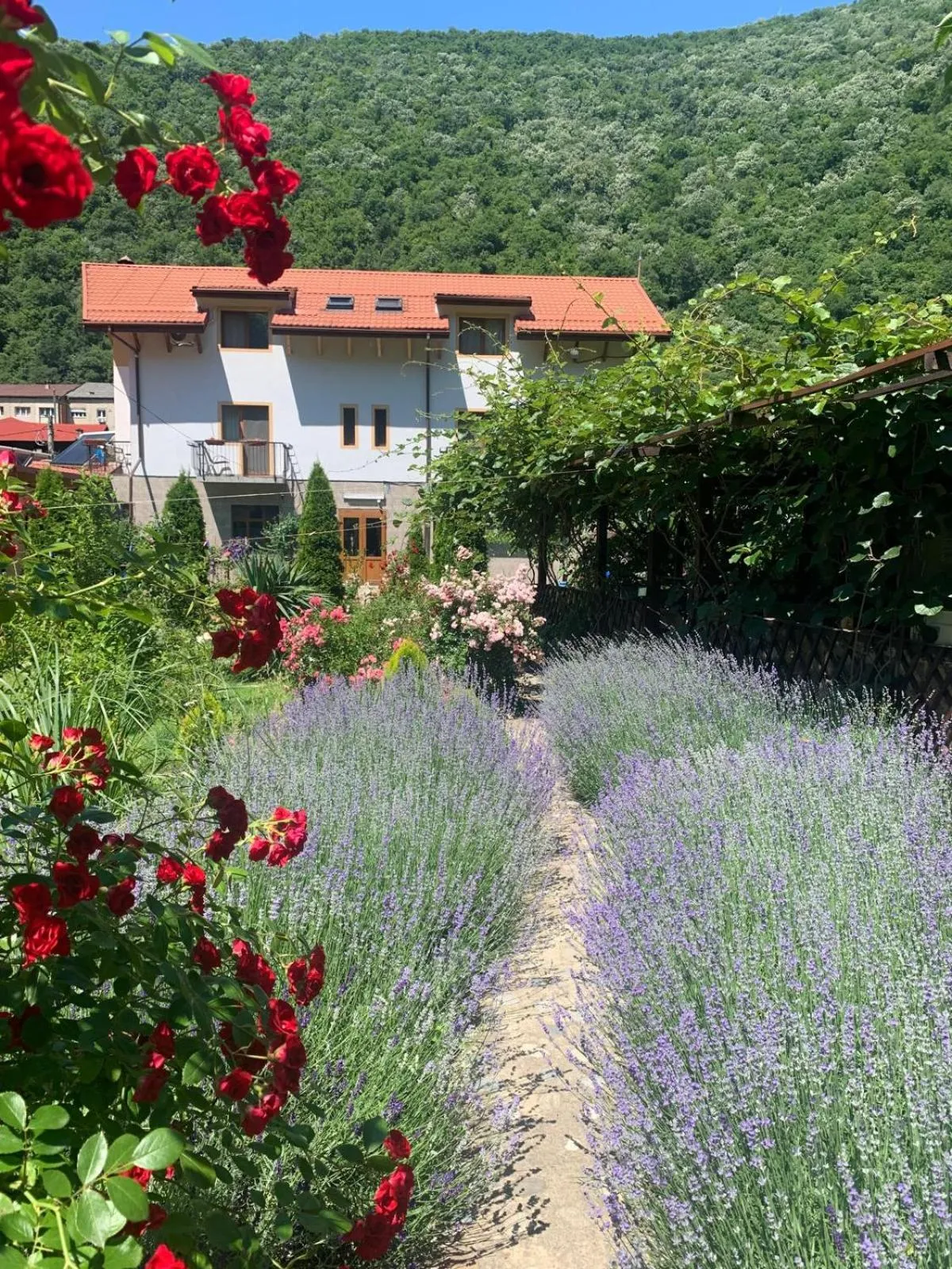 Day in Pension RouaDeMunte