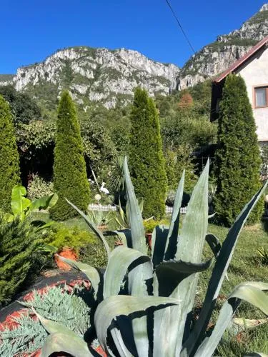 Pension RouaDeMunte