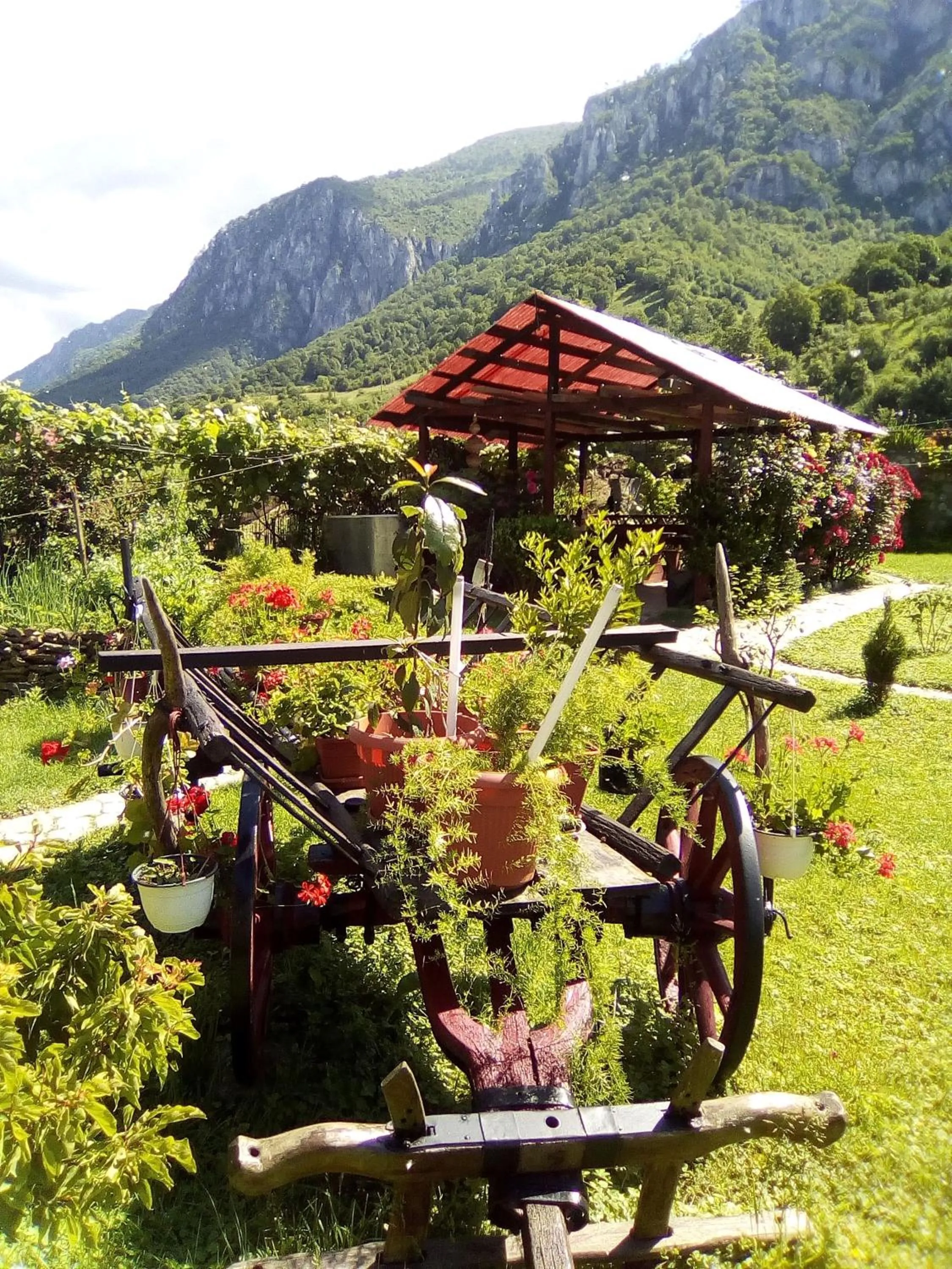 Garden in Pension RouaDeMunte