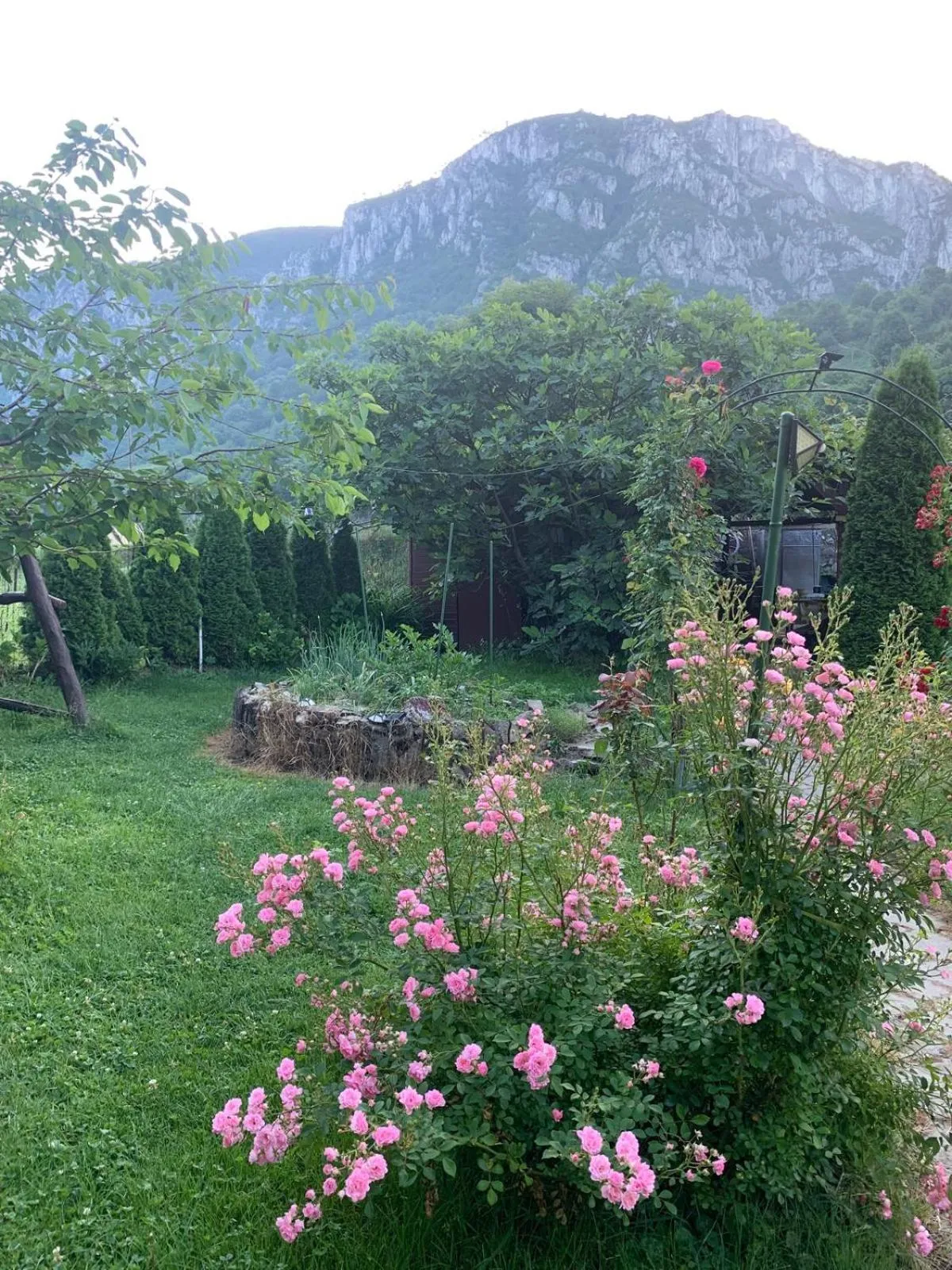 Natural landscape in Pension RouaDeMunte