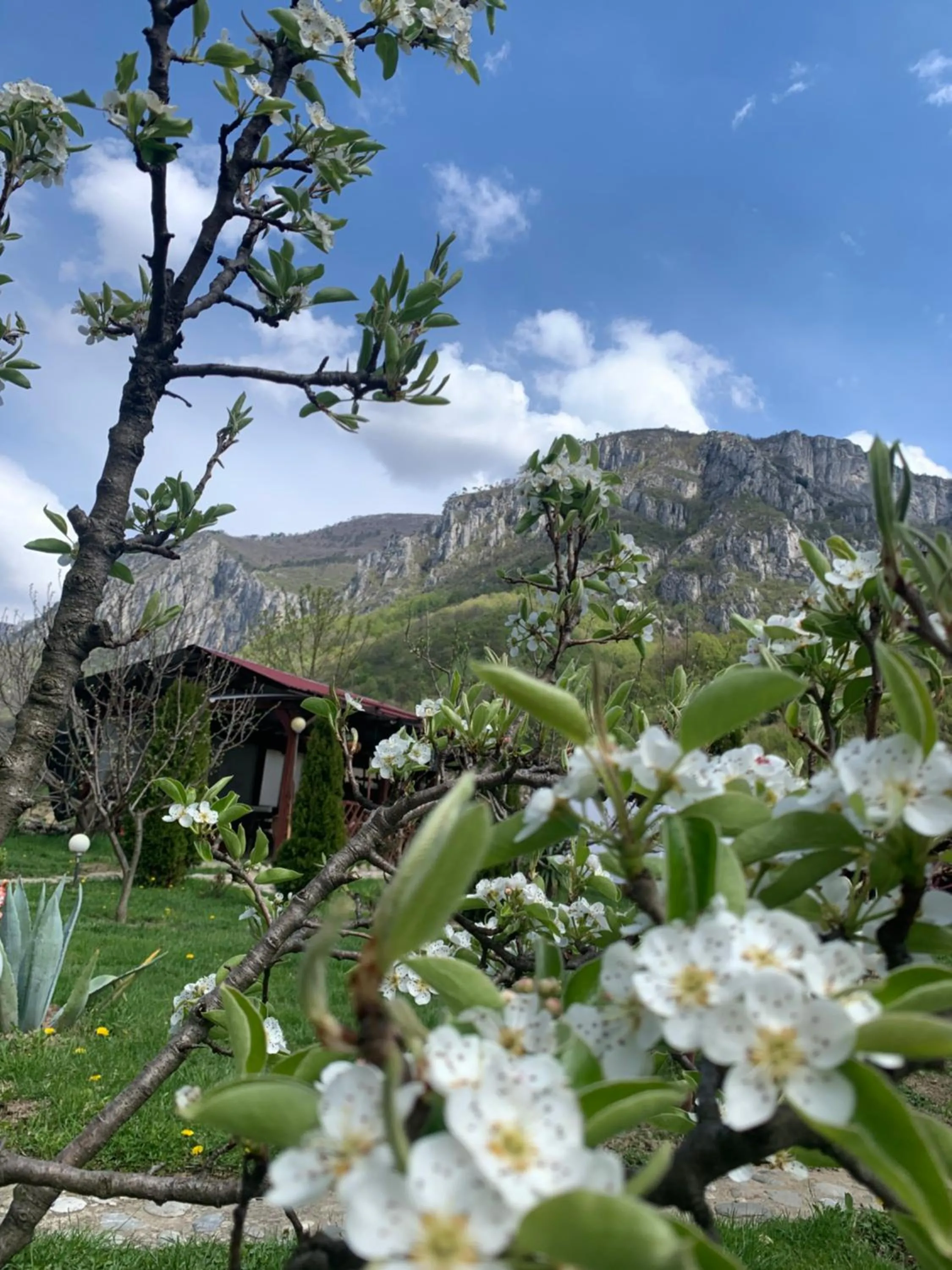 Spring in Pension RouaDeMunte