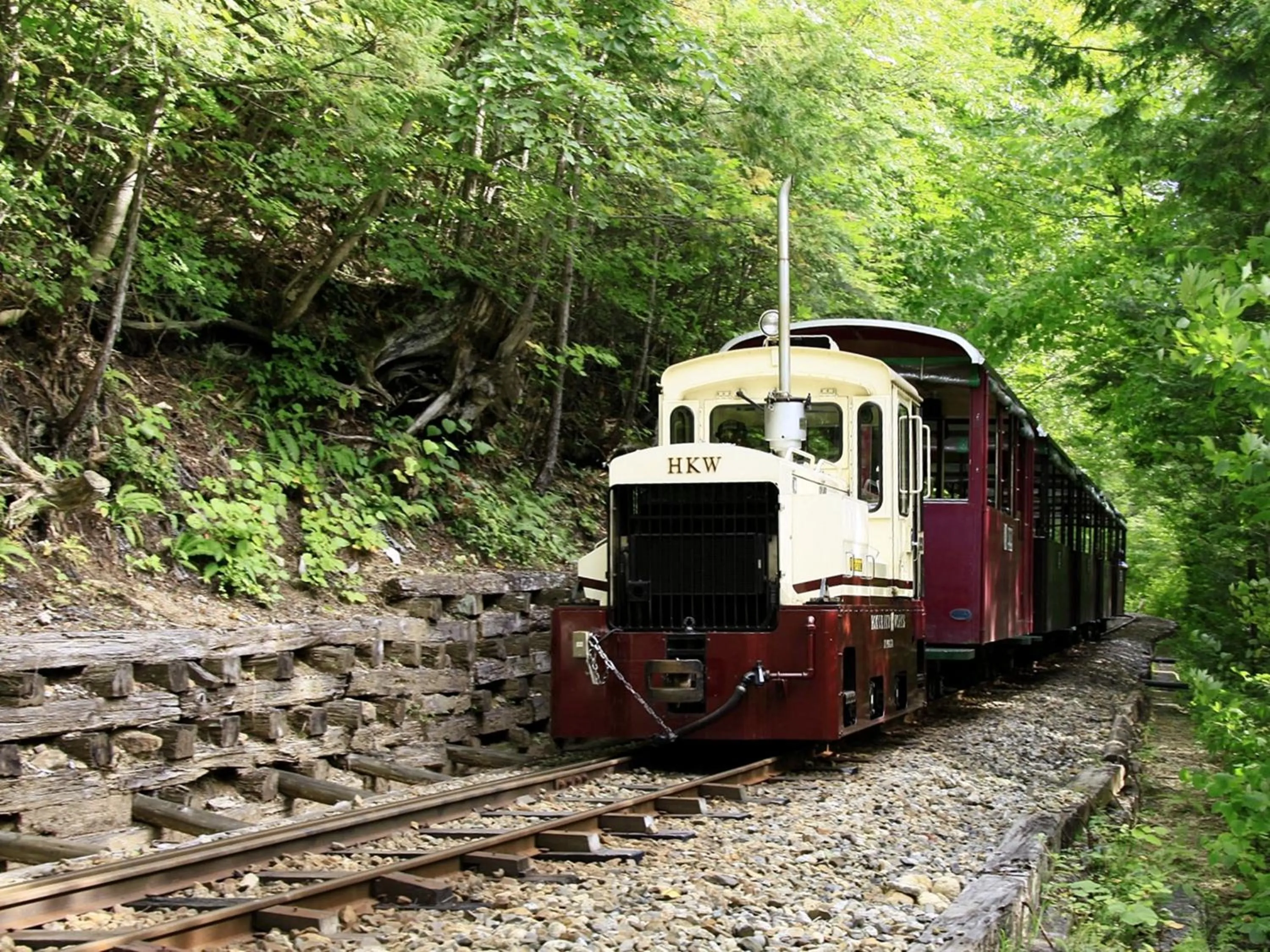 Off site in 阿寺温泉 フォレスパ木曽あてら荘