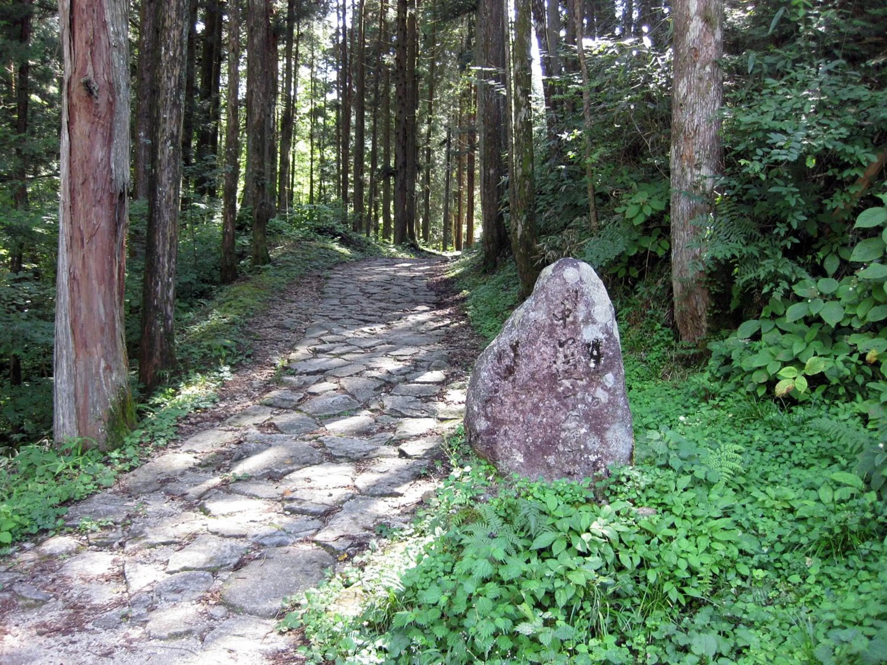 Off site in 阿寺温泉 フォレスパ木曽あてら荘