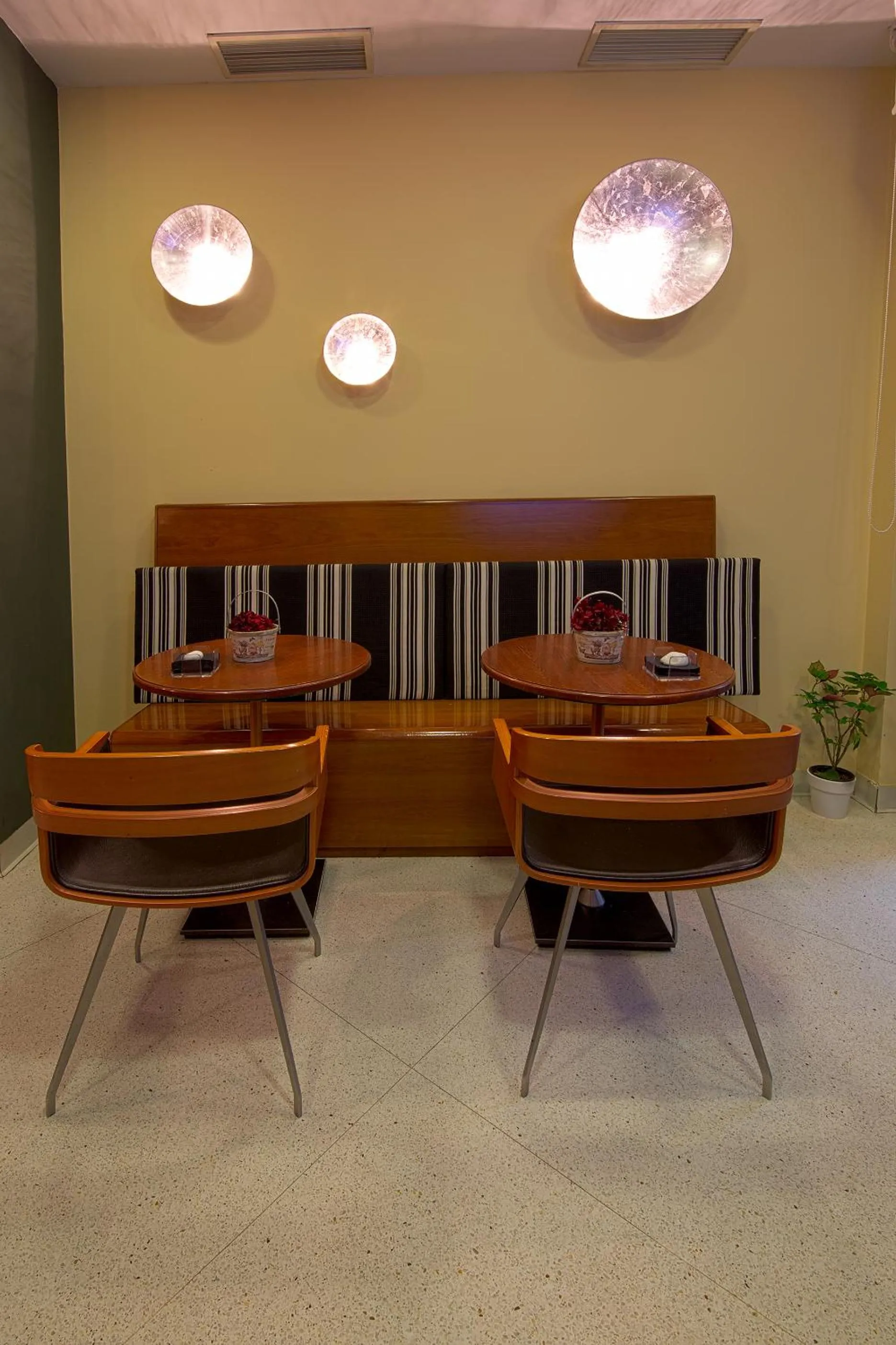 Lounge or bar in Hostal Albany