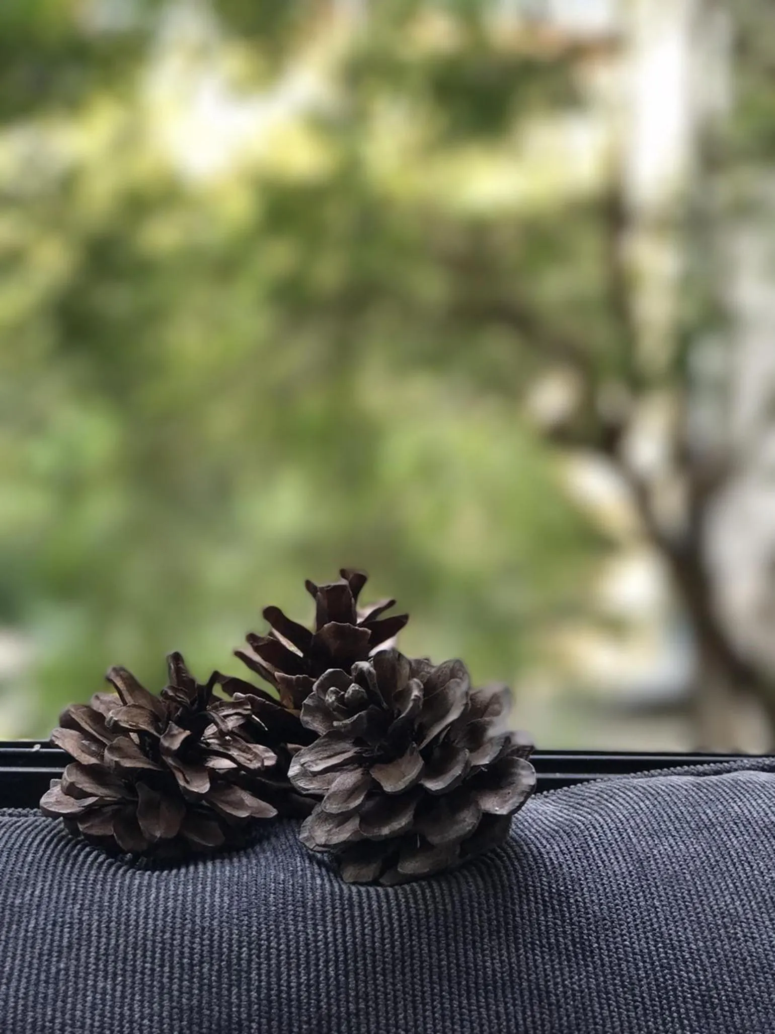 Decorative detail in Stay in Style at Nimman R208