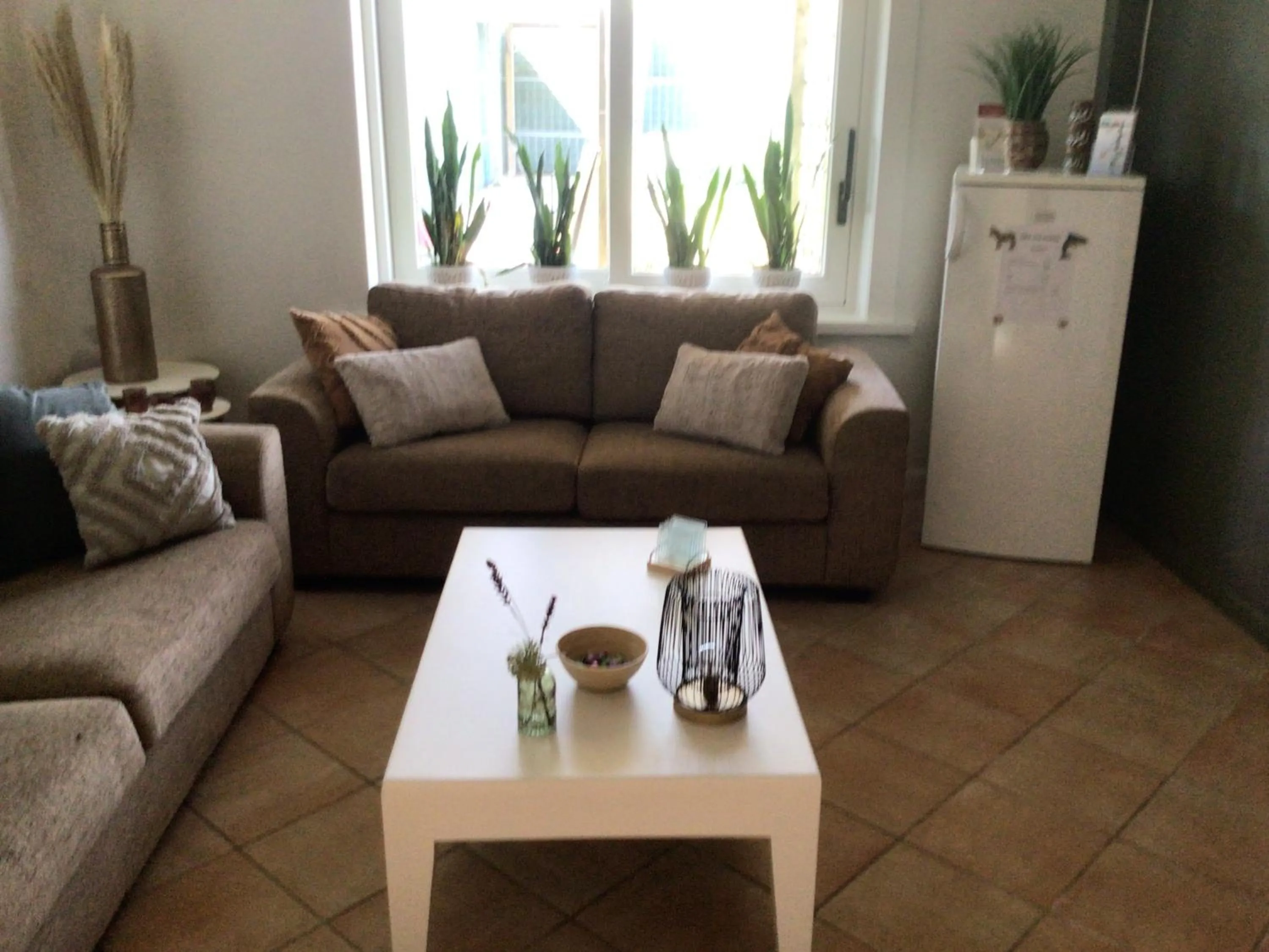 Seating area in B&B The Protea