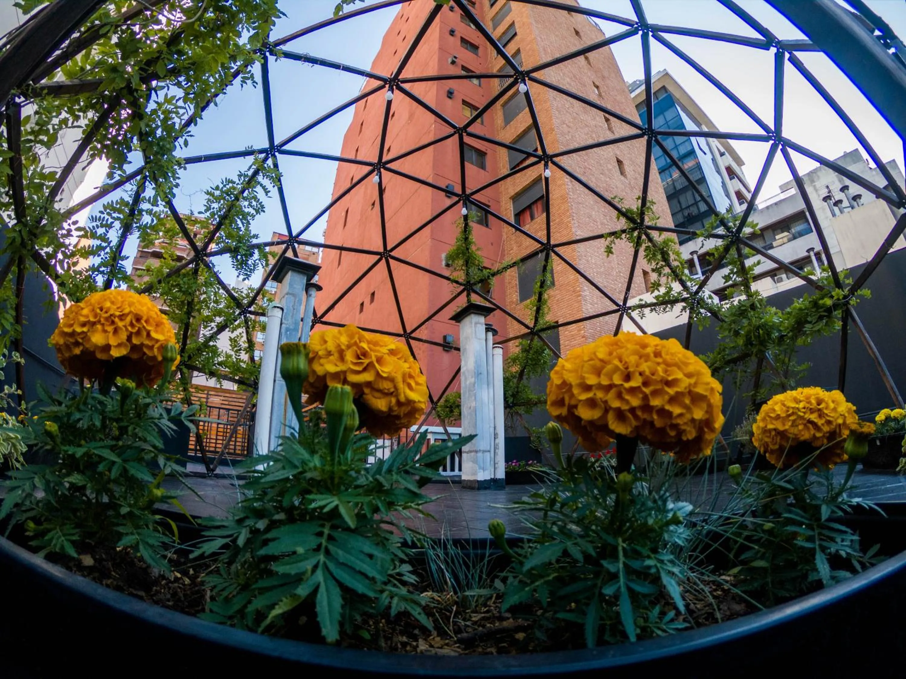 Patio in Casa Urbana Hotel