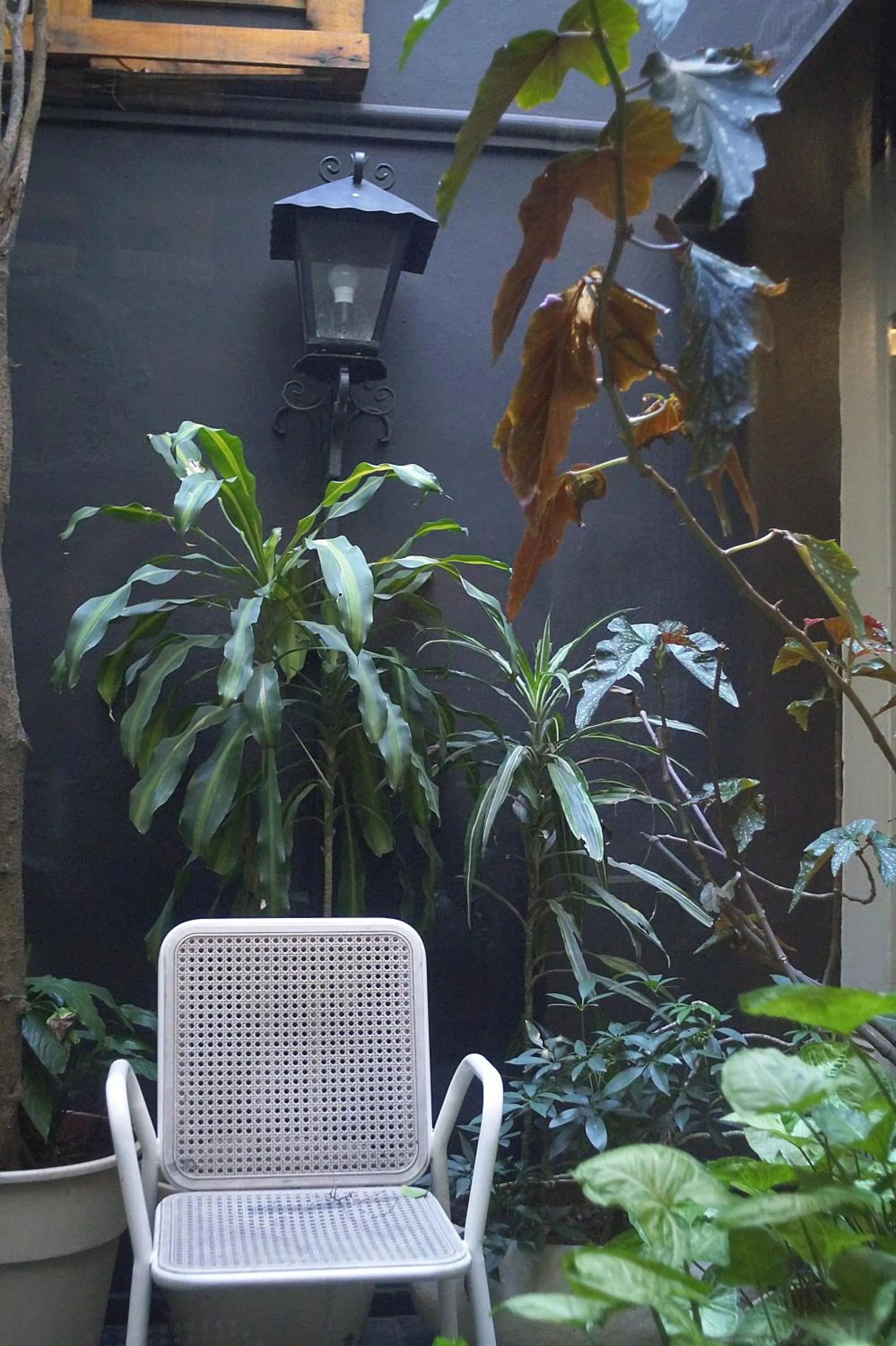 Inner courtyard view in Casa Urbana Hotel
