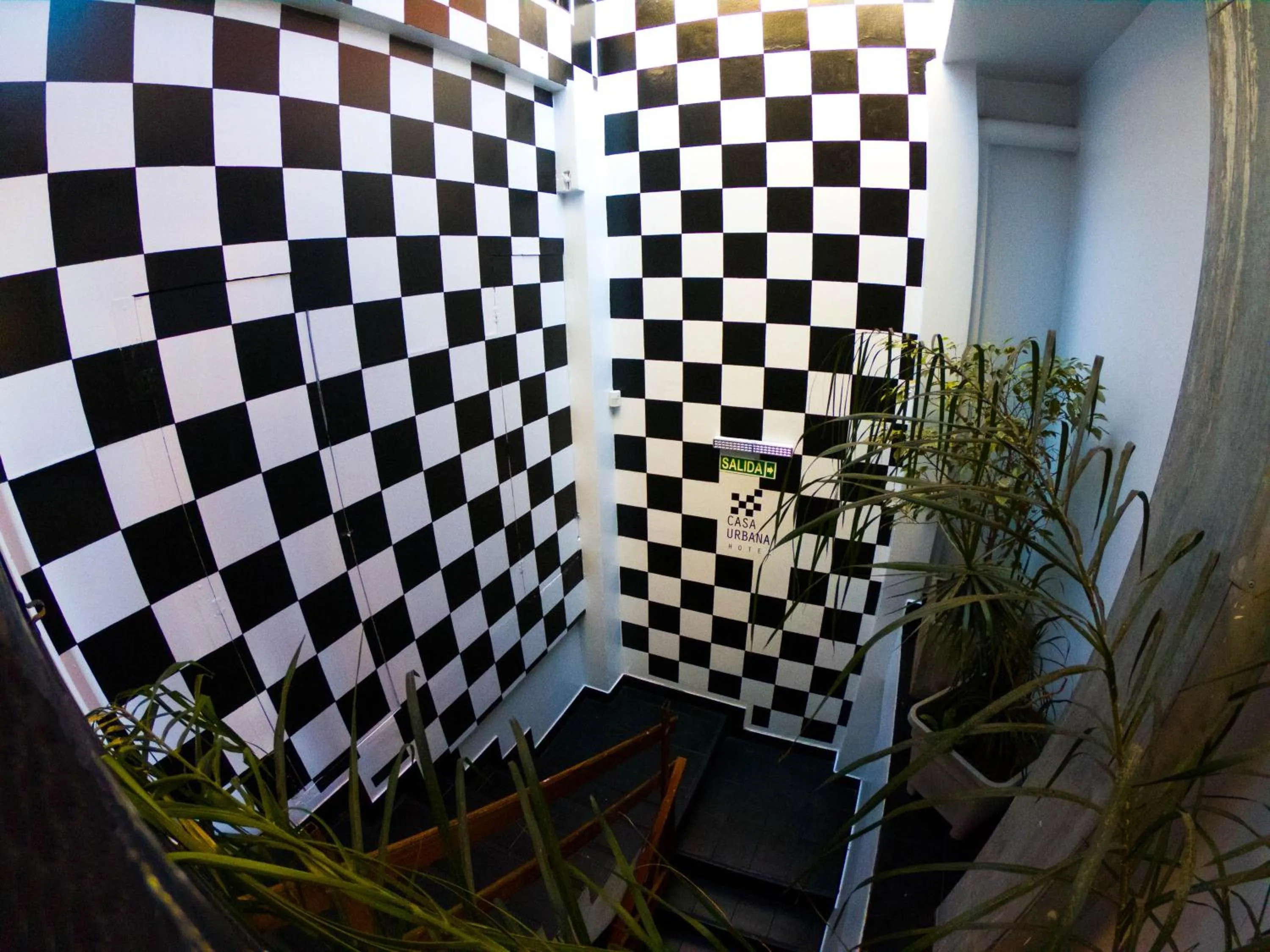 Garden in Casa Urbana Hotel