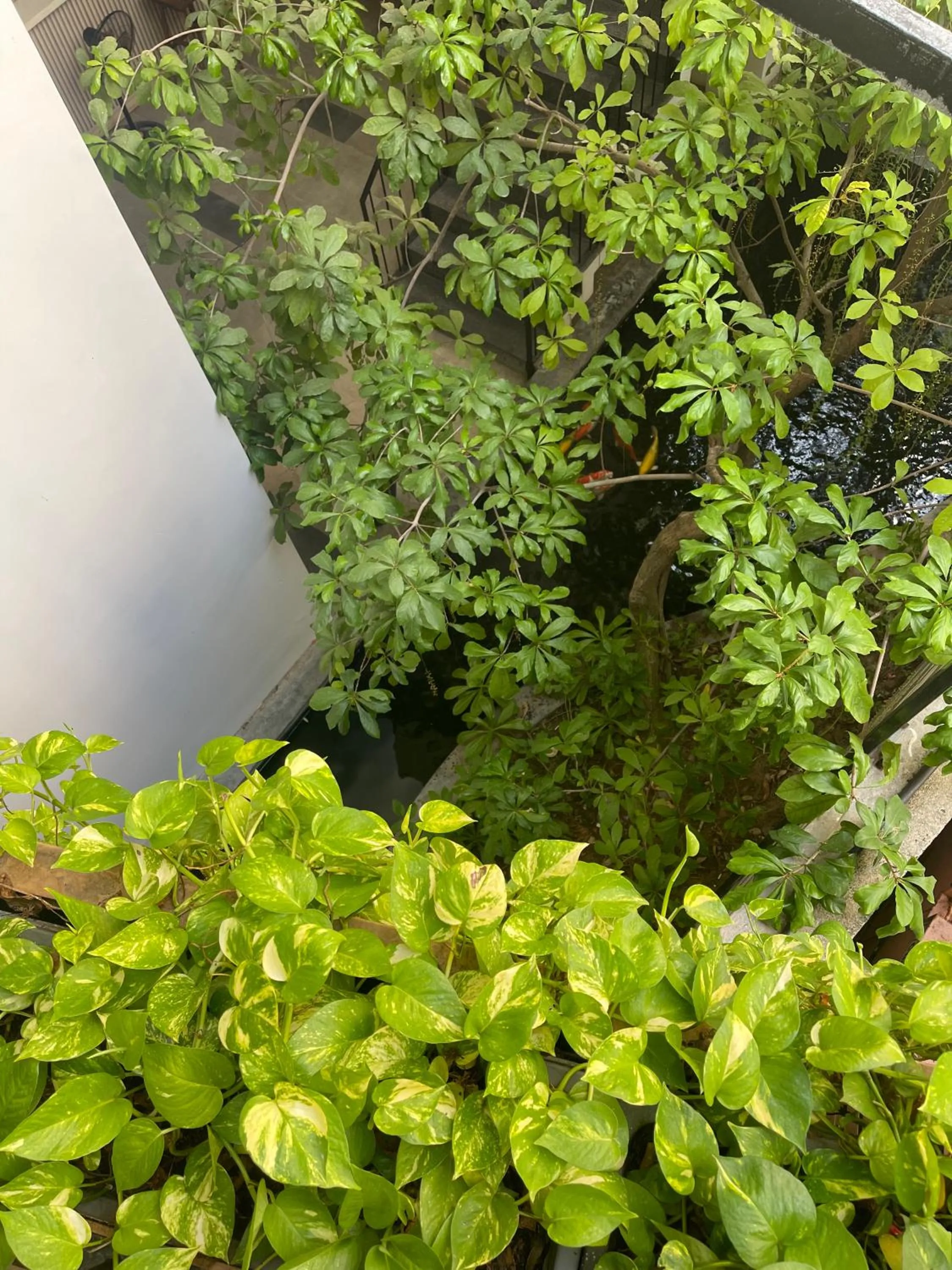 Property building in Babylon Garden Da Nang