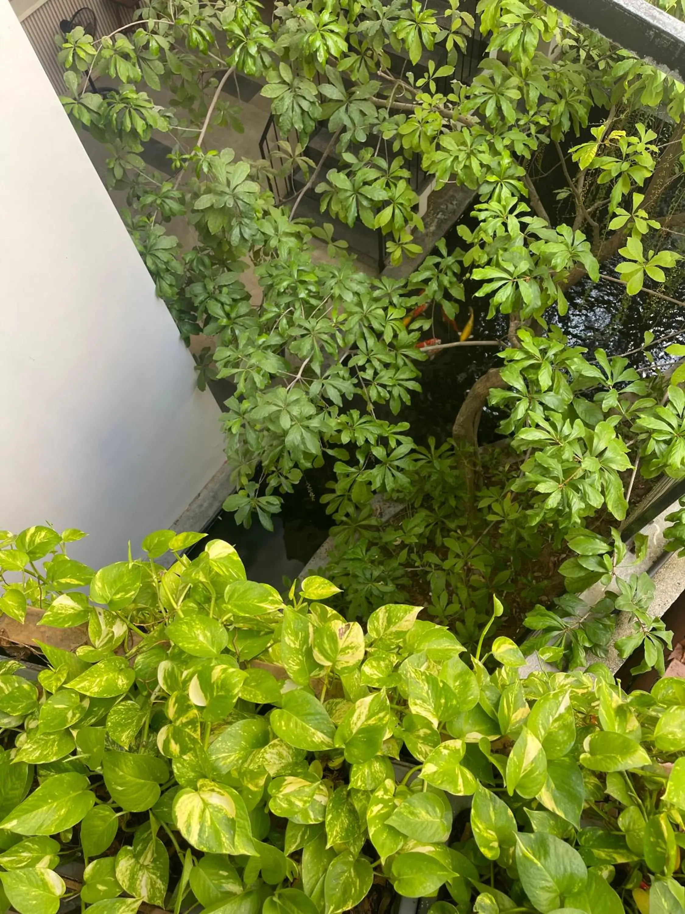 Property building in Babylon Garden Da Nang Property building in Babylon Garden Da Nang