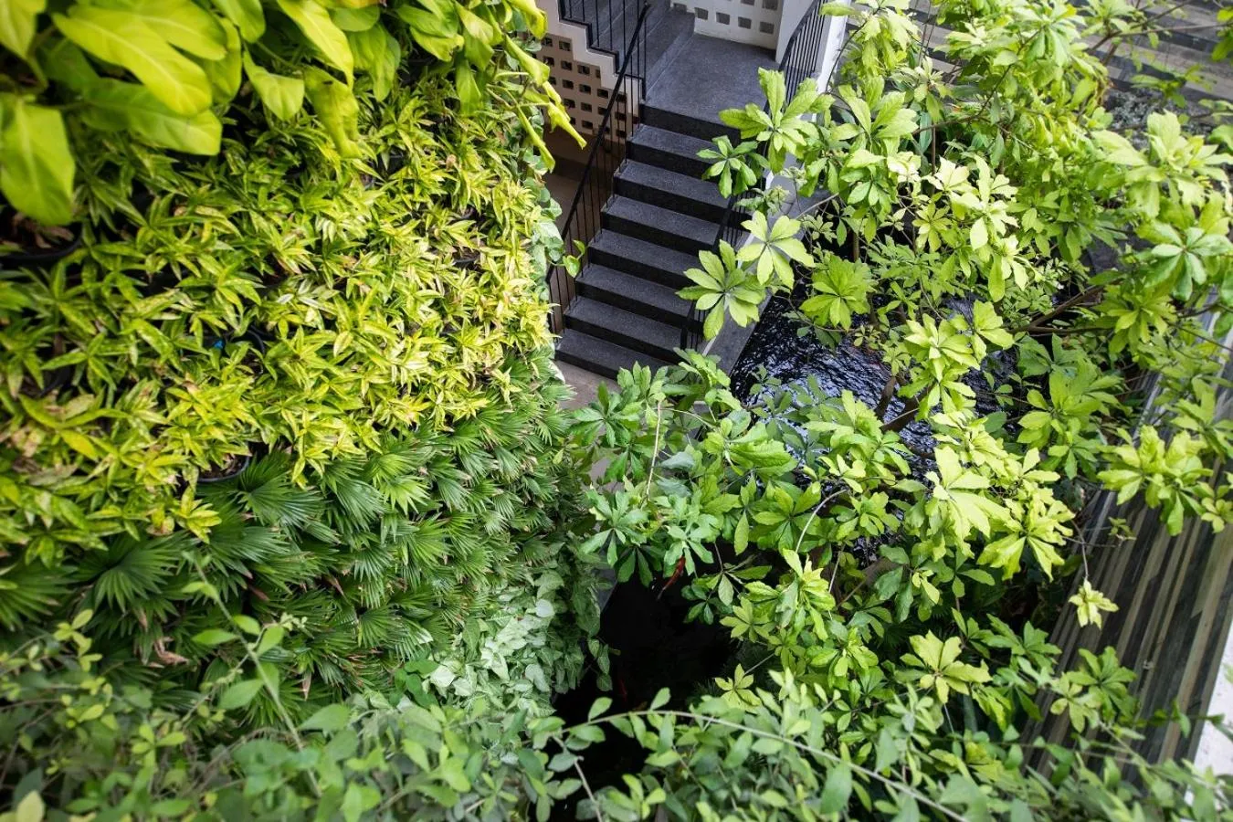 Garden in Babylon Garden Da Nang