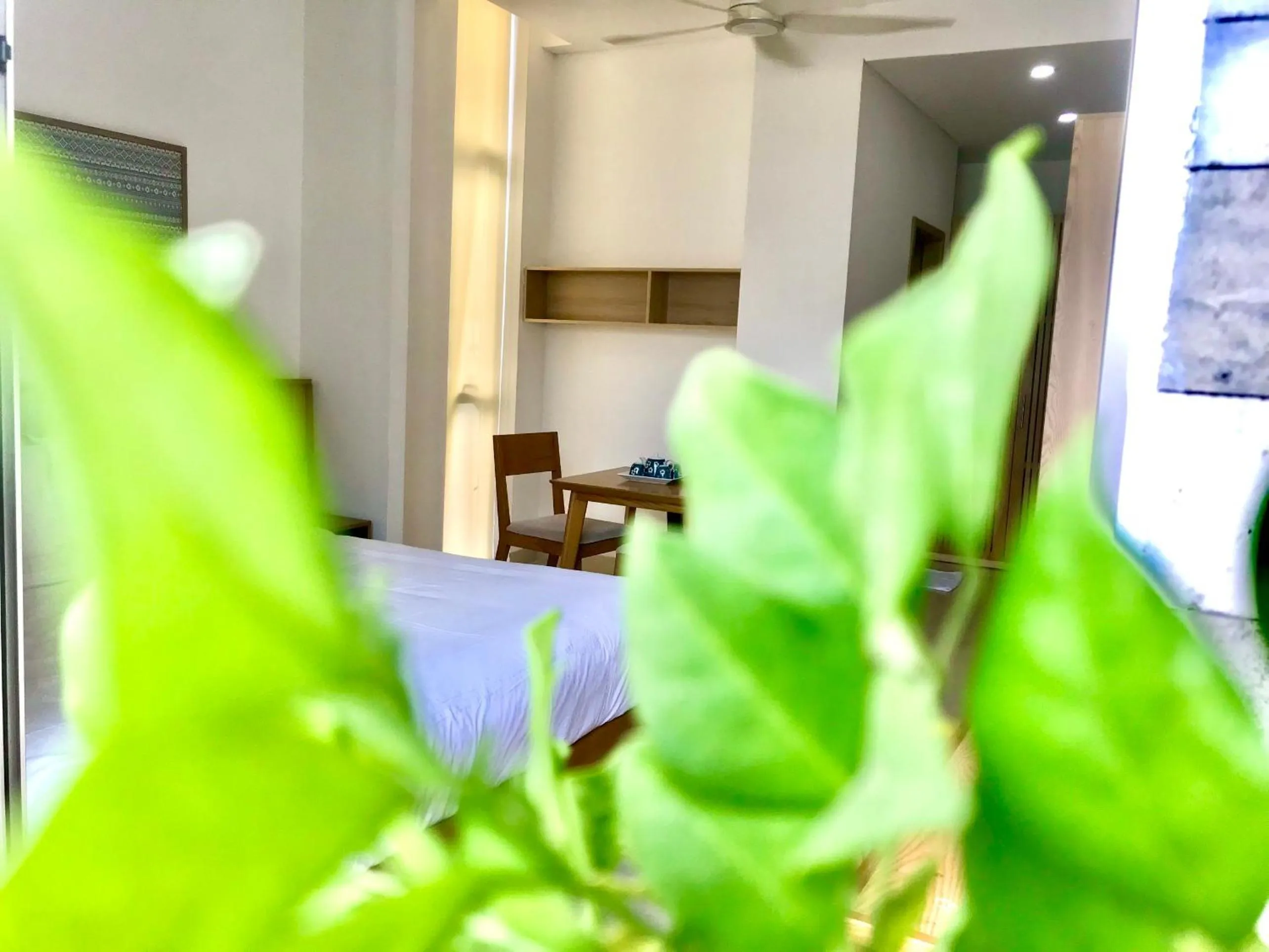 Balcony/Terrace in Babylon Garden Da Nang