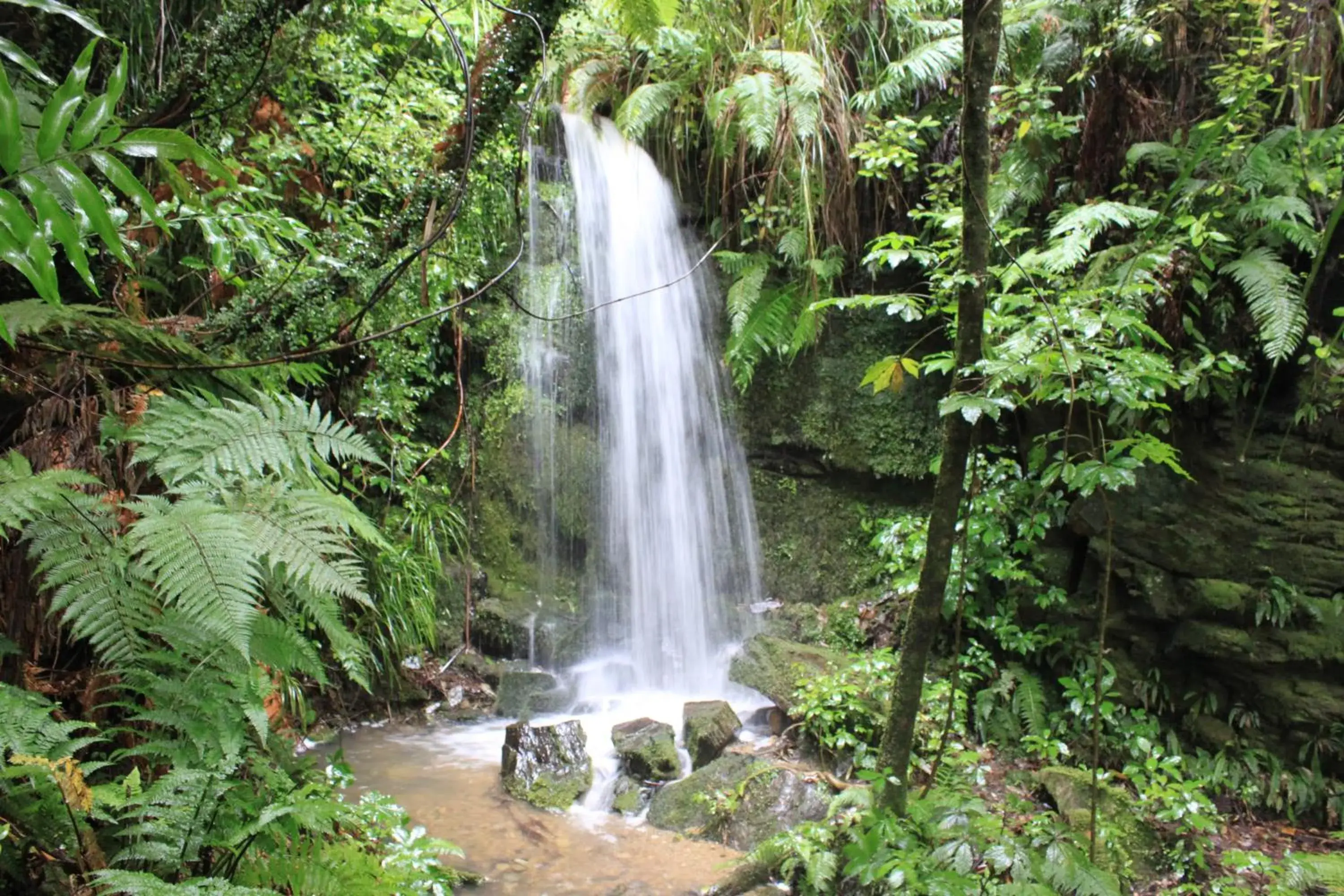 Natural landscape in Bay of Many Coves Natural landscape in Bay of Many Coves