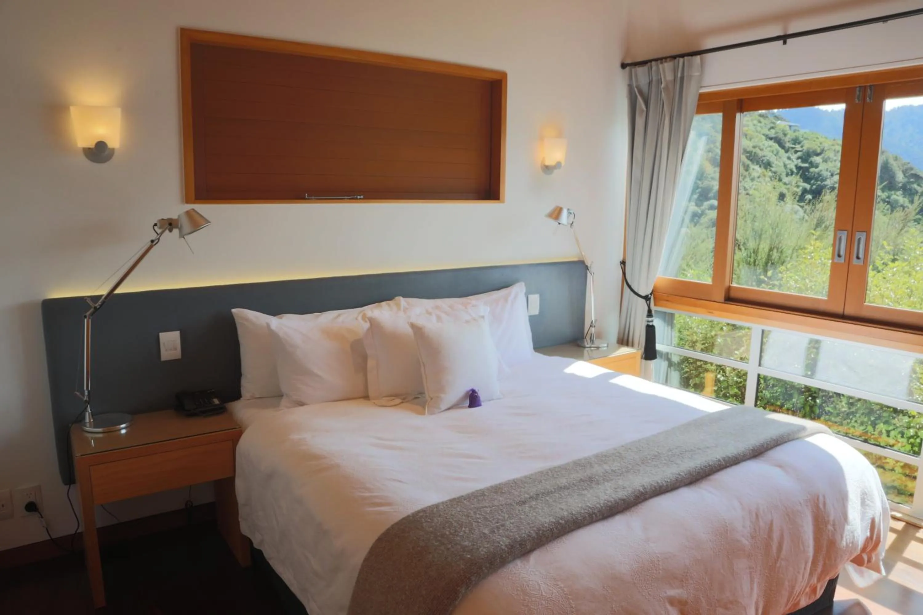 Bed in Bay of Many Coves