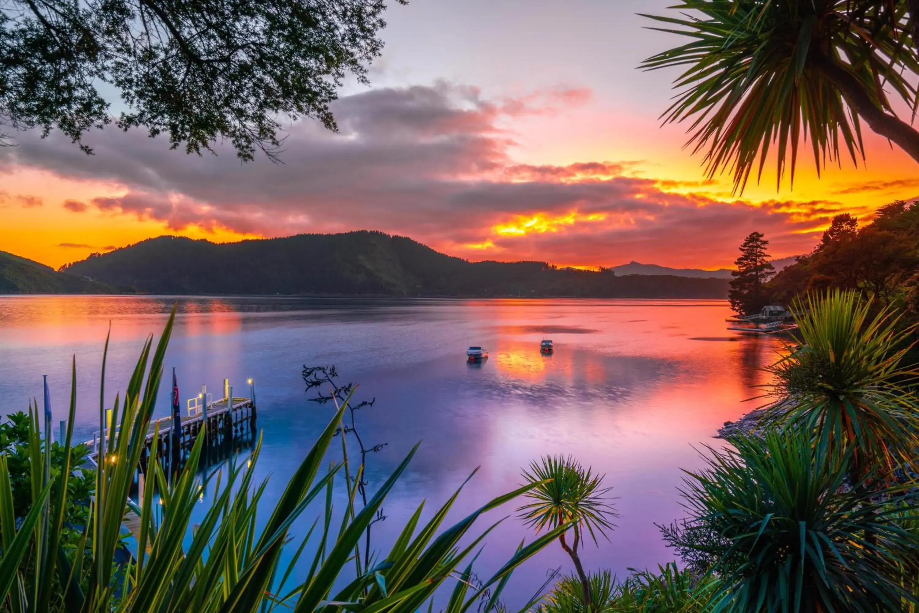 Bird's eye view in Bay of Many Coves Bird's eye view in Bay of Many Coves