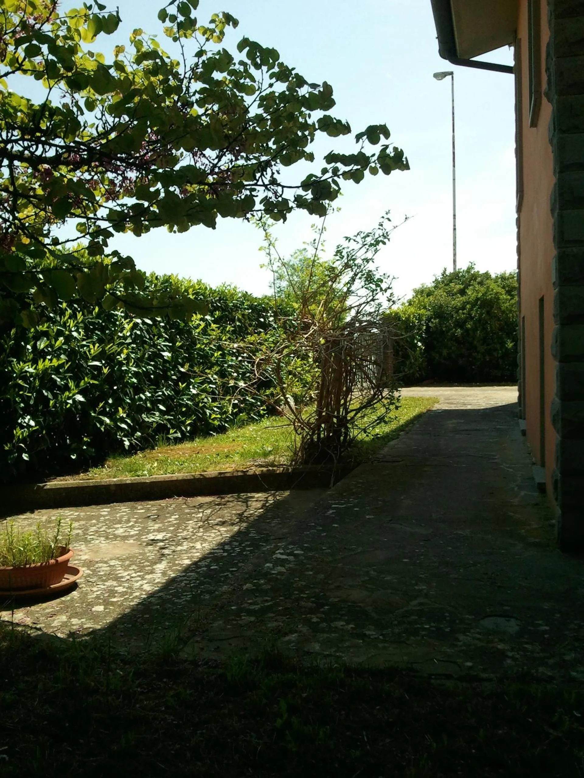 Property building in B&B MOLIN DEL TOPO