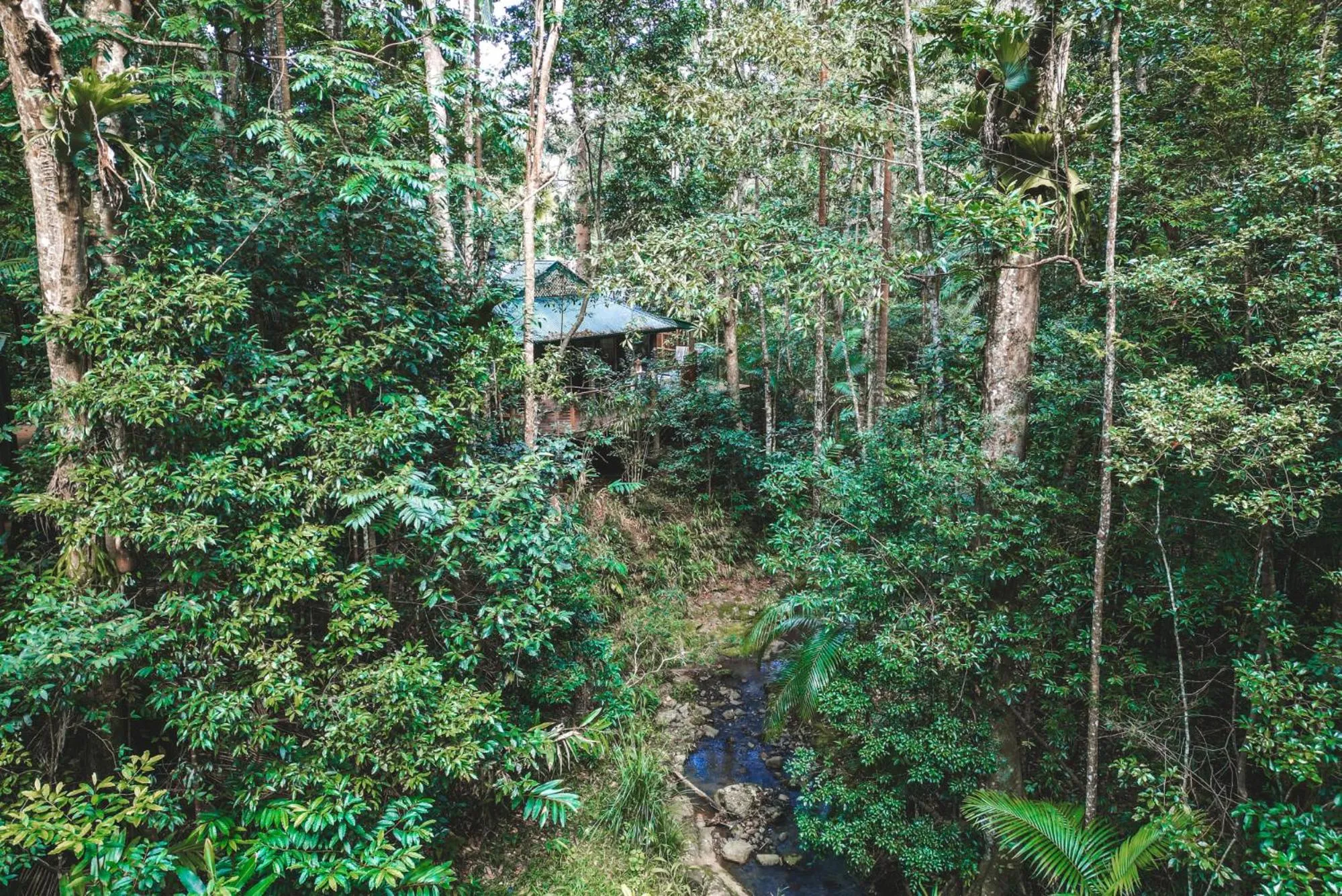 Natural landscape in Narrows Escape Rainforest Retreat