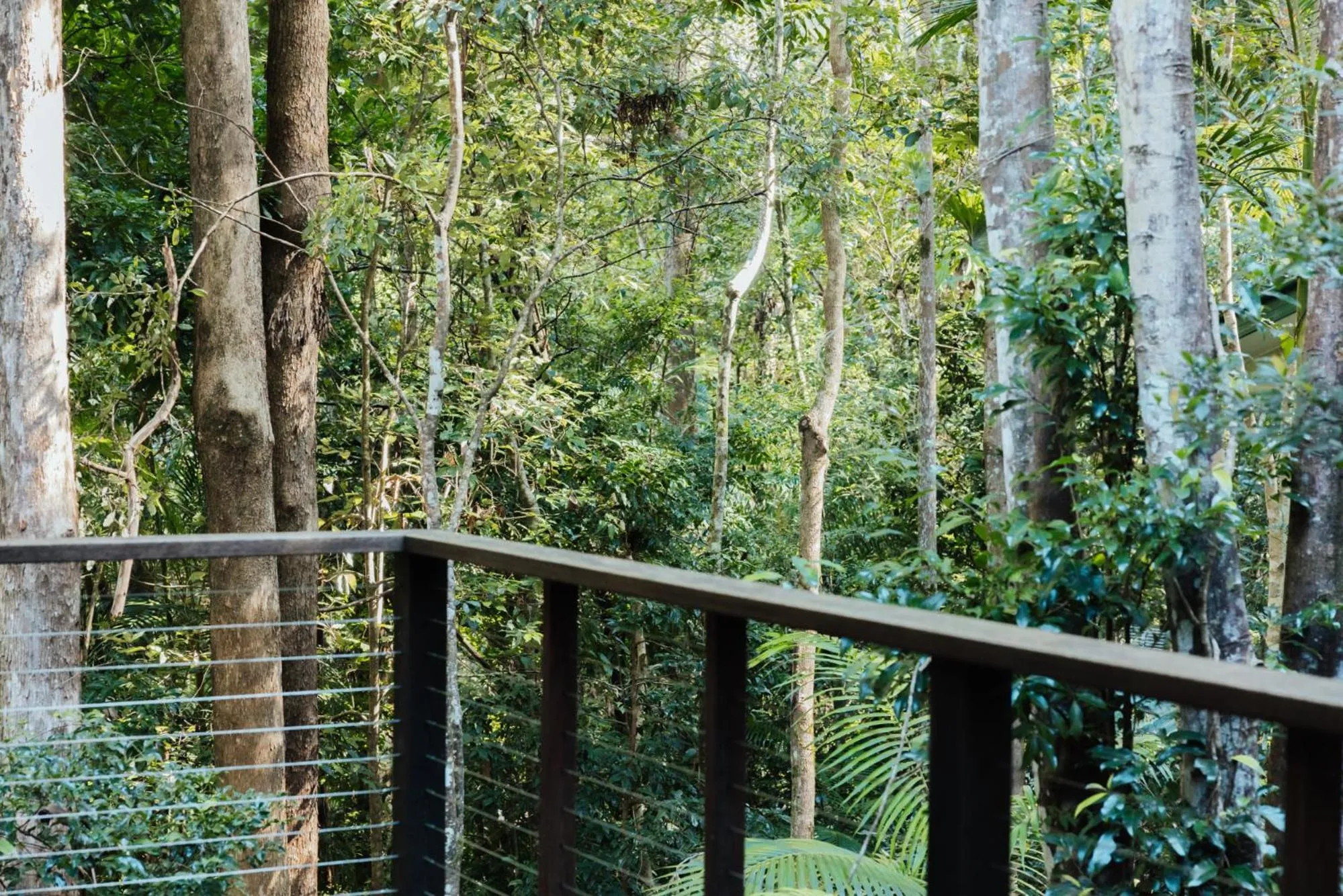 View (from property/room) in Narrows Escape Rainforest Retreat