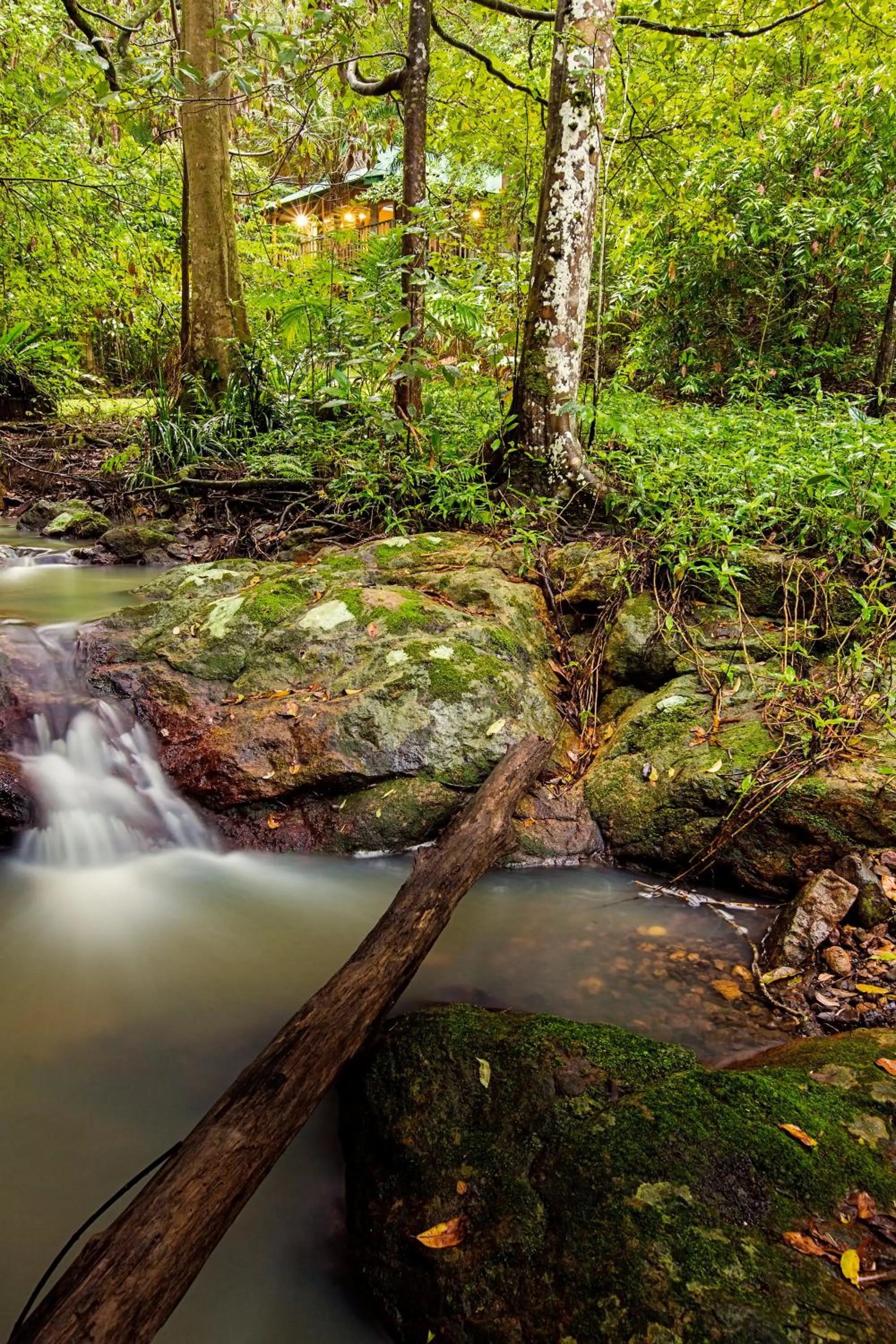 Area and facilities in Narrows Escape Rainforest Retreat