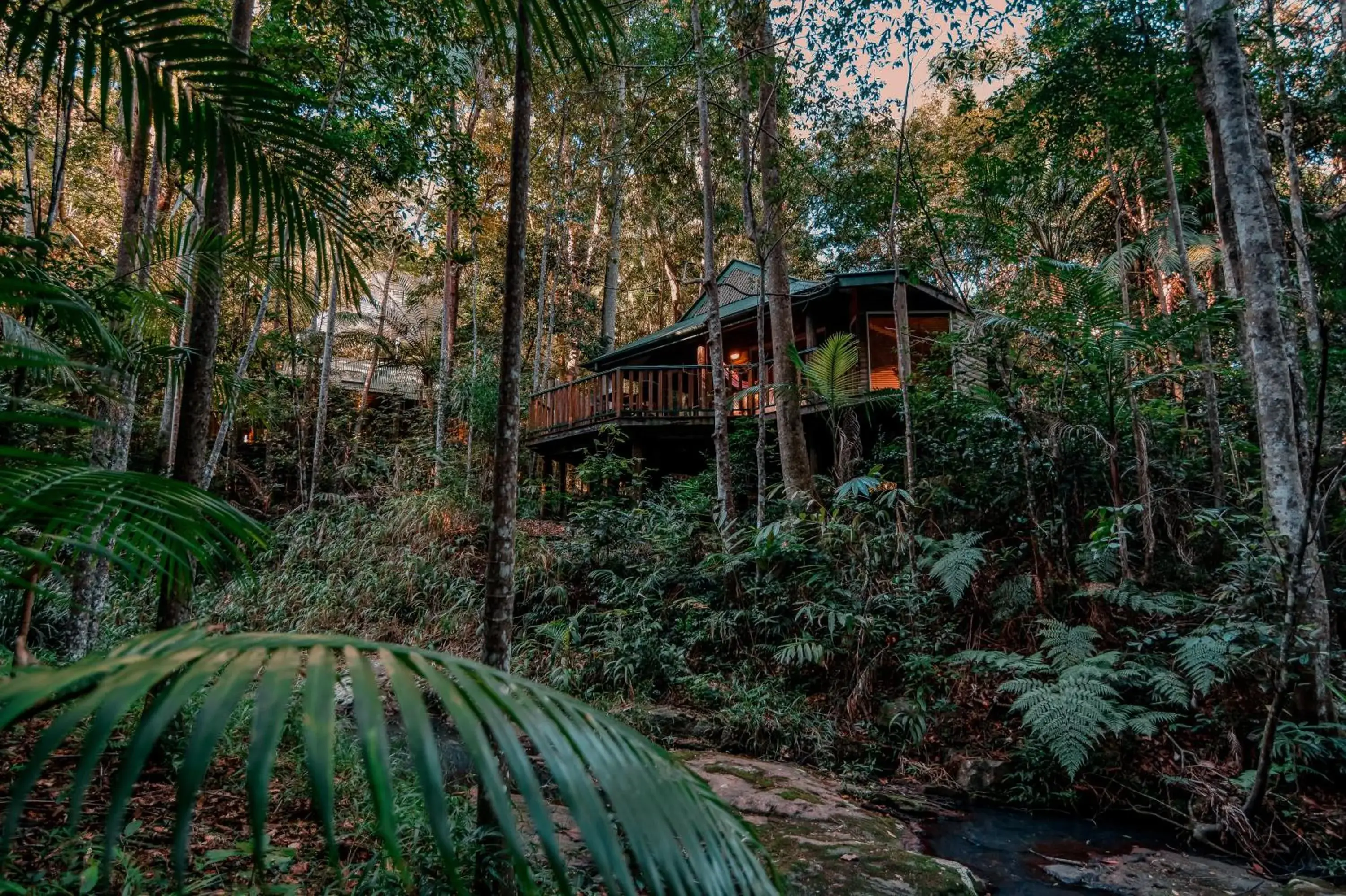 Property building in Narrows Escape Rainforest Retreat Property building in Narrows Escape Rainforest Retreat