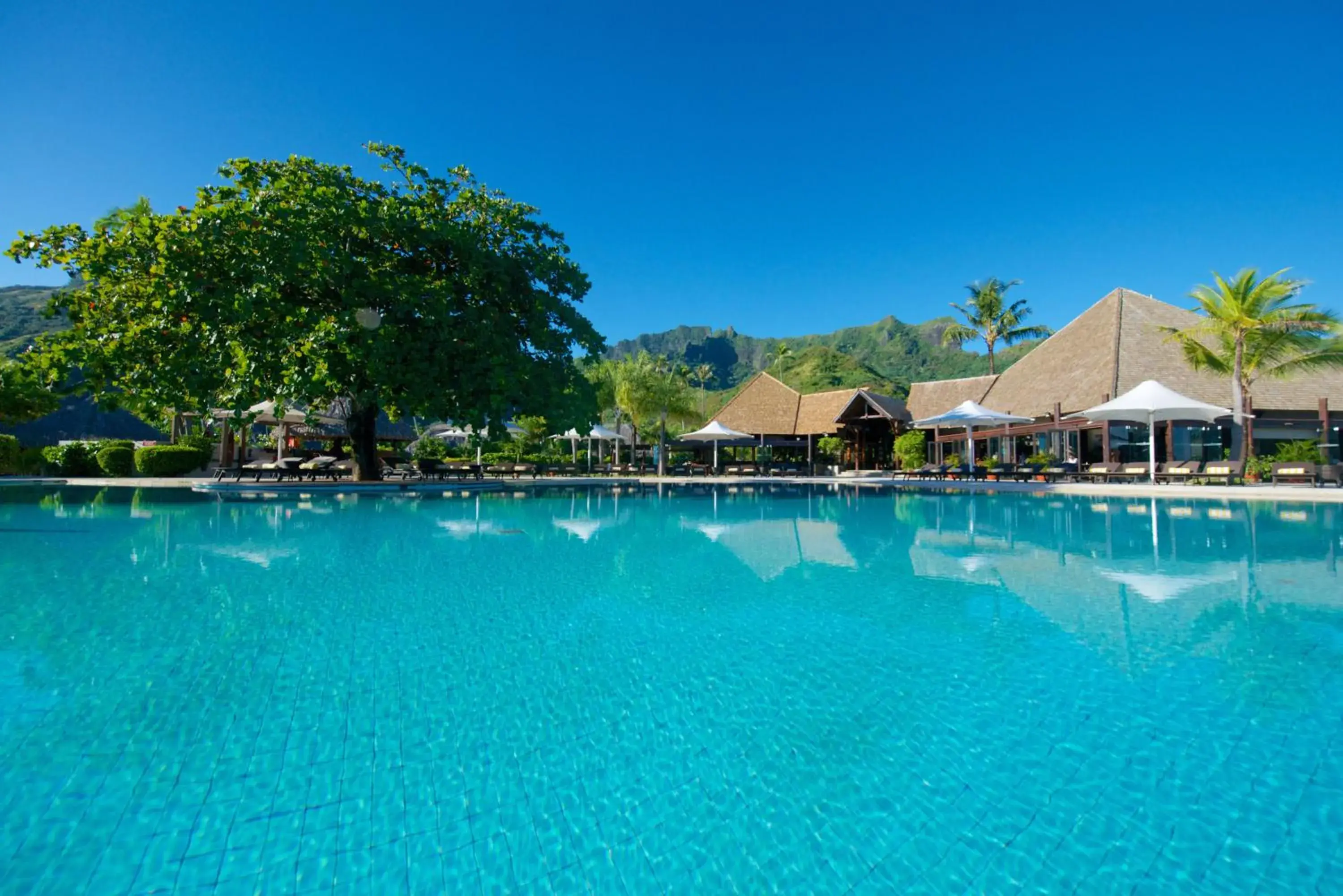 Swimming pool in Manava Beach Resort & Spa Moorea Swimming pool in Manava Beach Resort & Spa Moorea