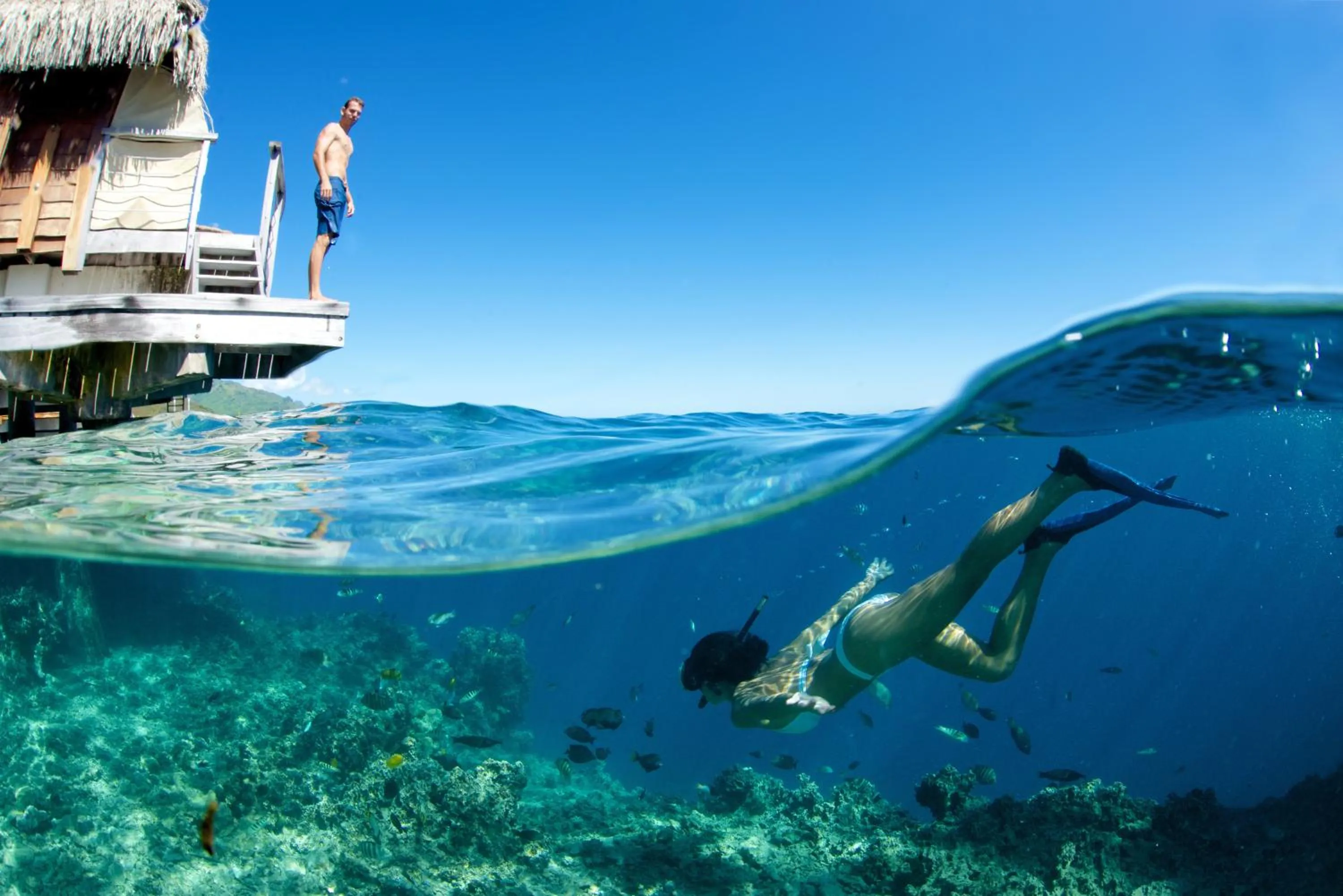 Snorkeling in Manava Beach Resort & Spa Moorea