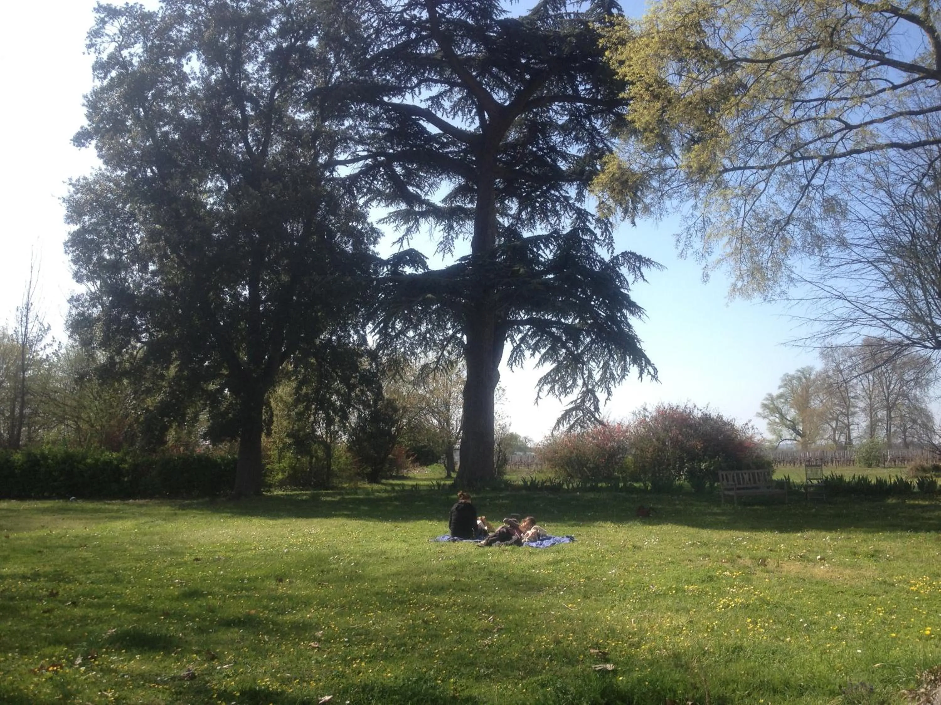 B&B Château Pierre de Lune
