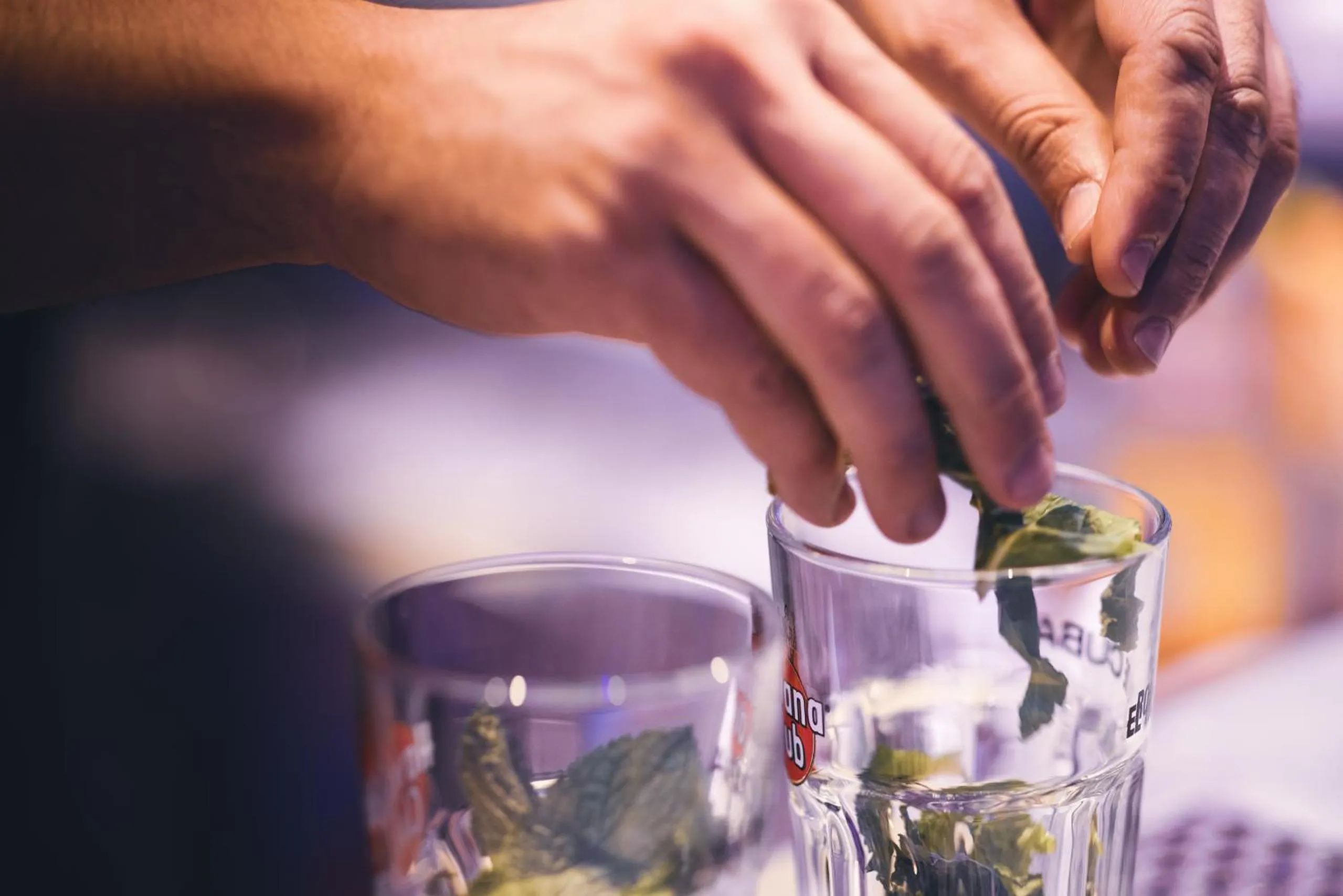 Restaurant/places to eat in Hôtel Bastide