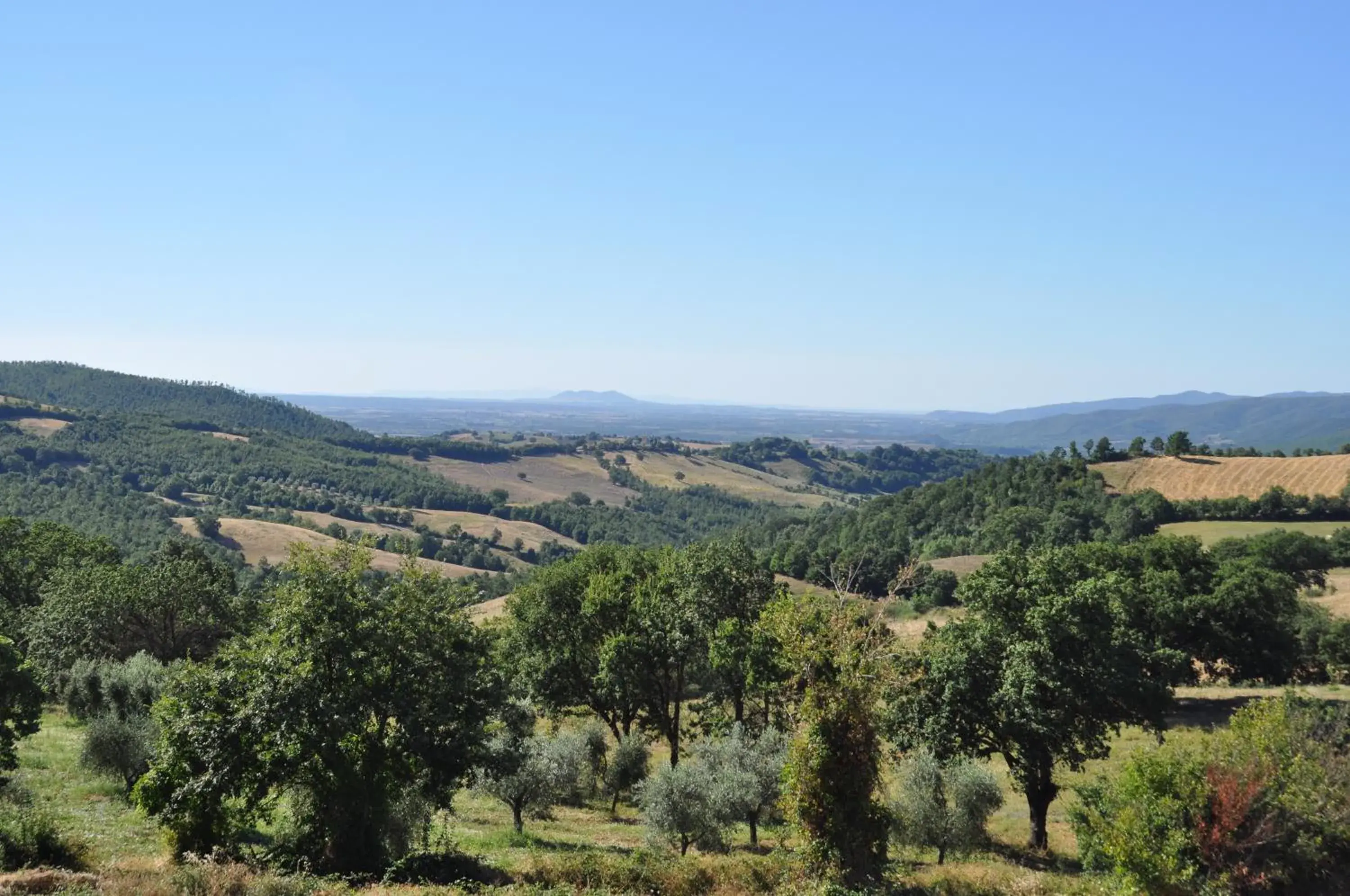 View (from property/room) in Agriturismo La Meria View (from property/room) in Agriturismo La Meria