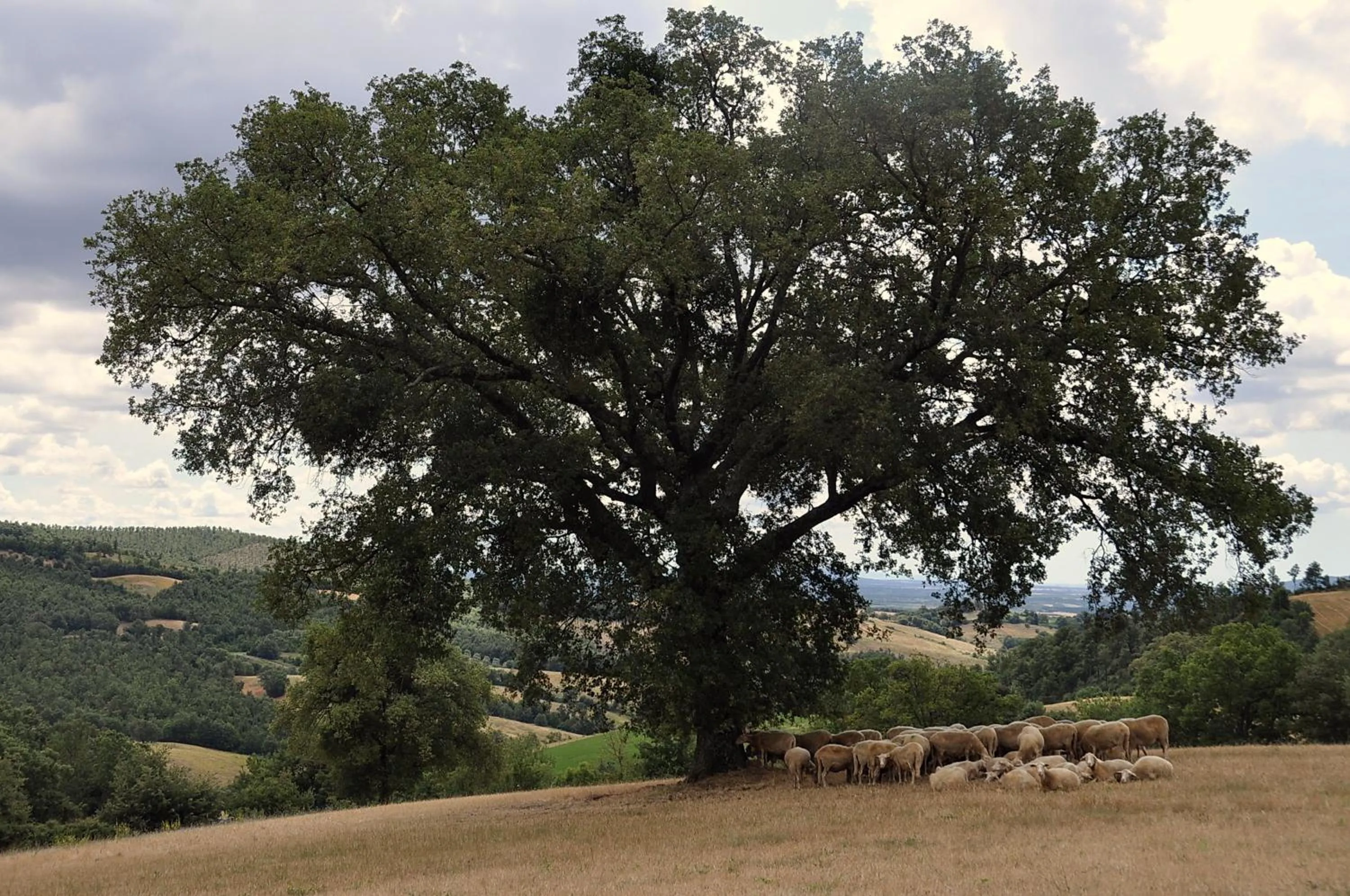 Area and facilities in Agriturismo La Meria