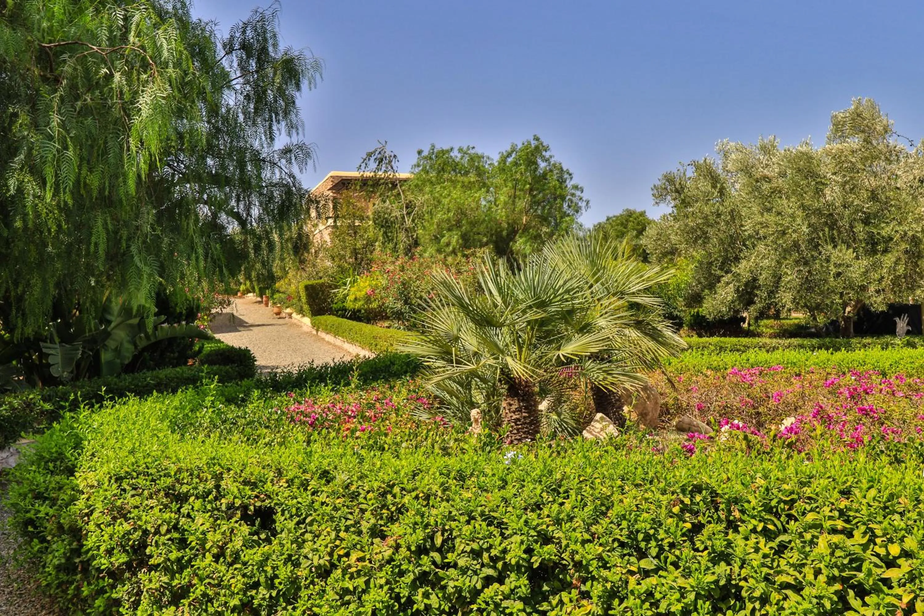 Garden view in Essaouira Lodge